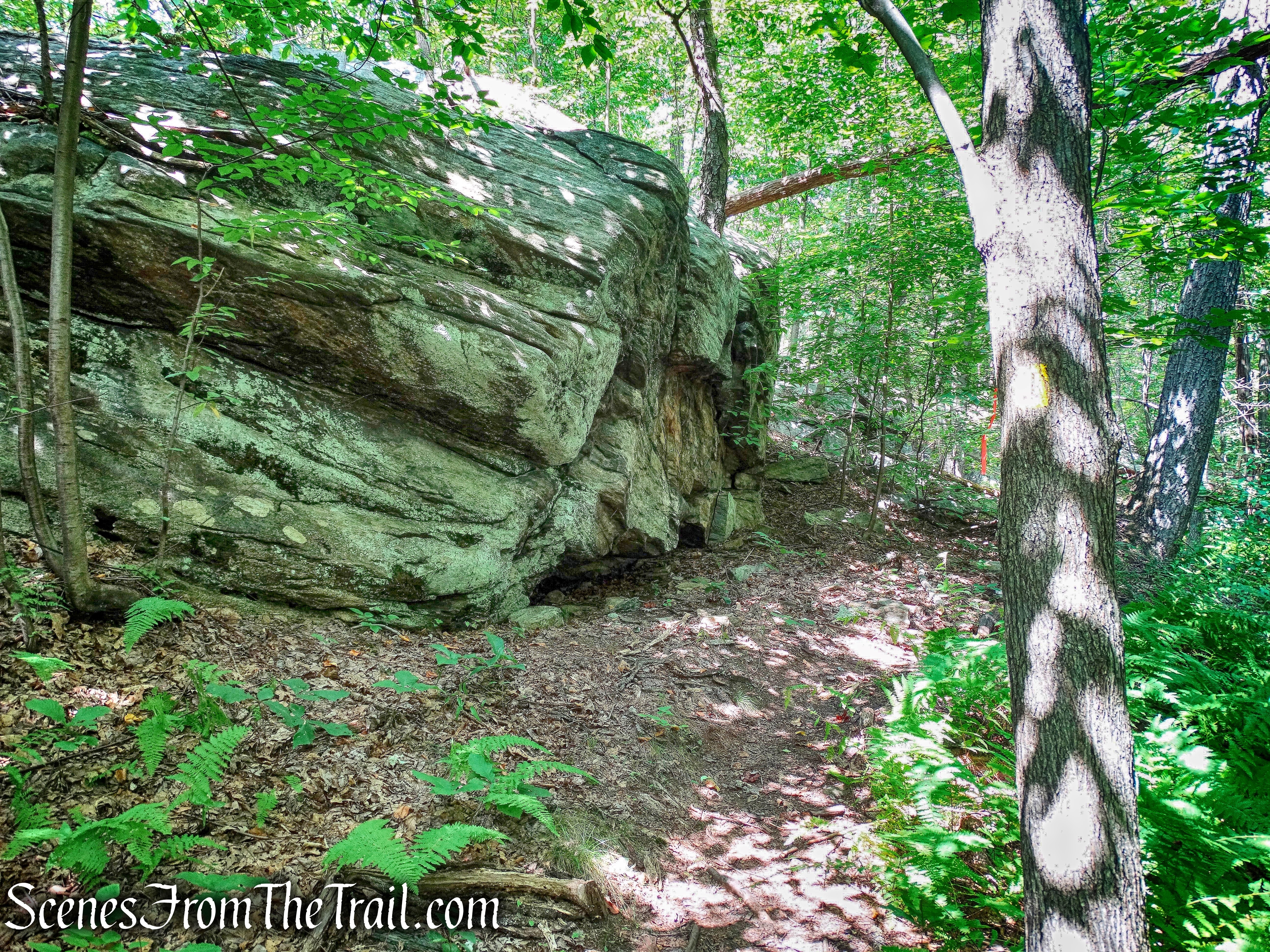 Manaticut Point Trail