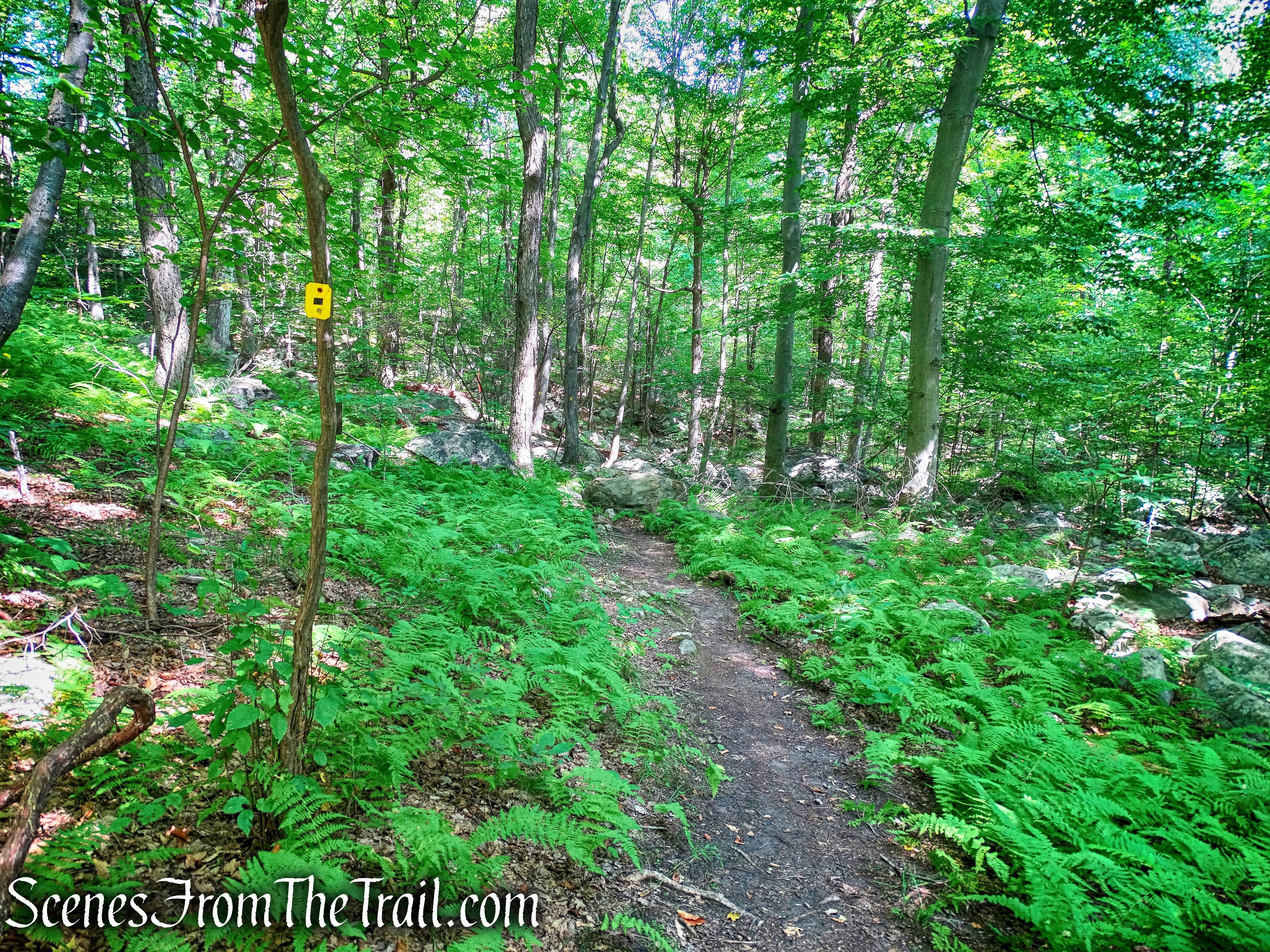 Manaticut Point Spur Trail