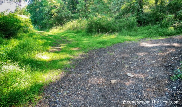 Beechy Bottom East Road