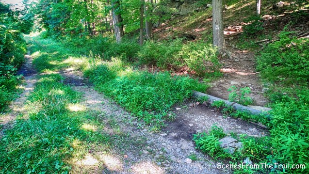 turn right on Fawn Trail