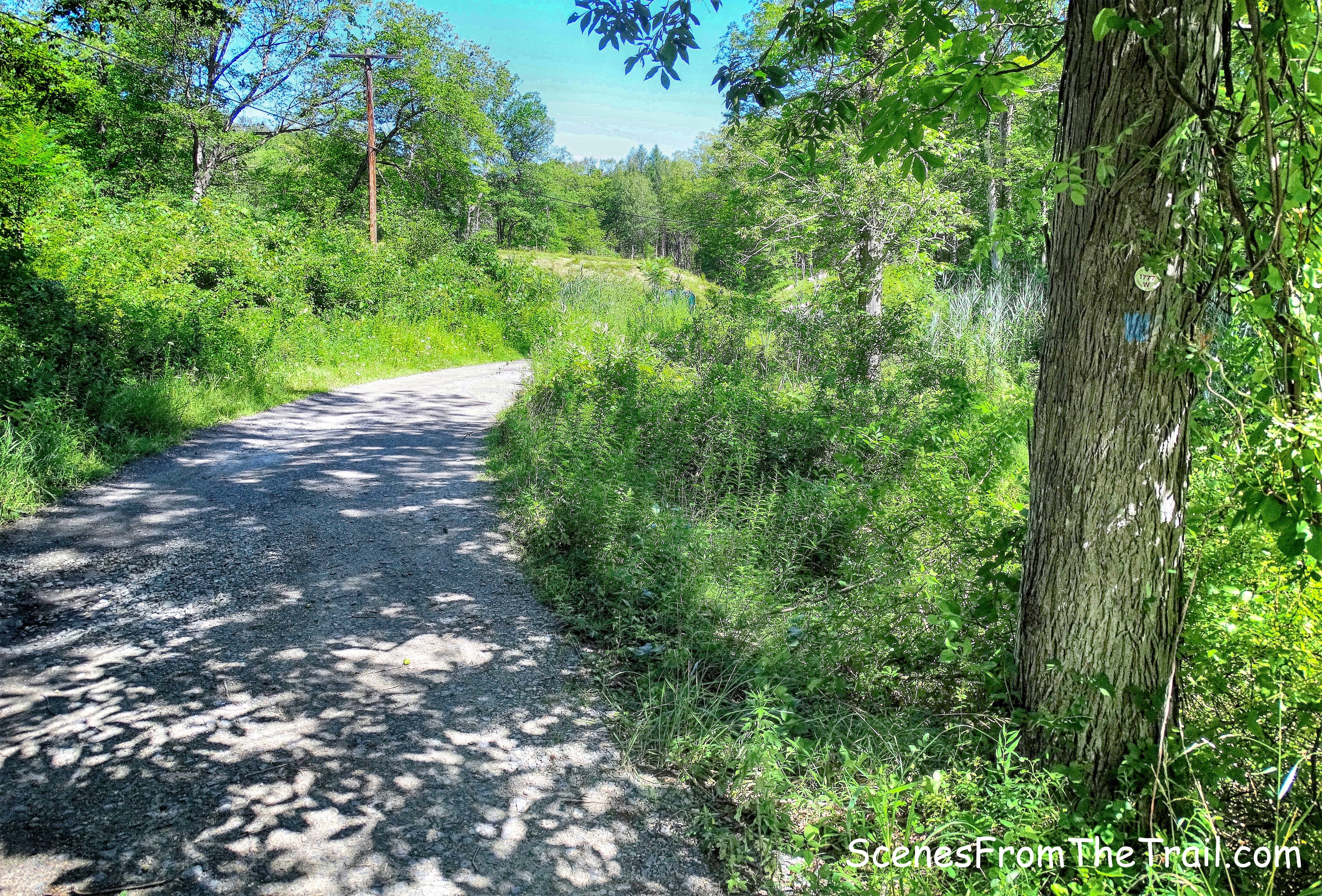 joint 1777W/Timp-Torne Trail