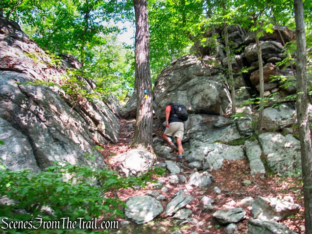 Manaticut Point Trail
