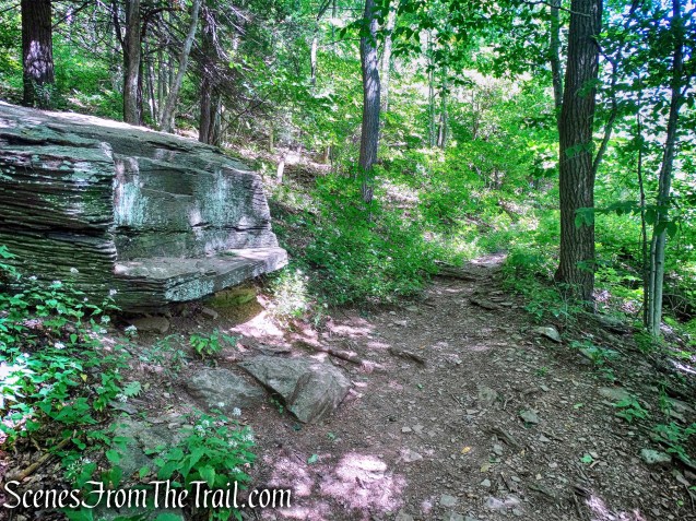 trail to Pratt Rock