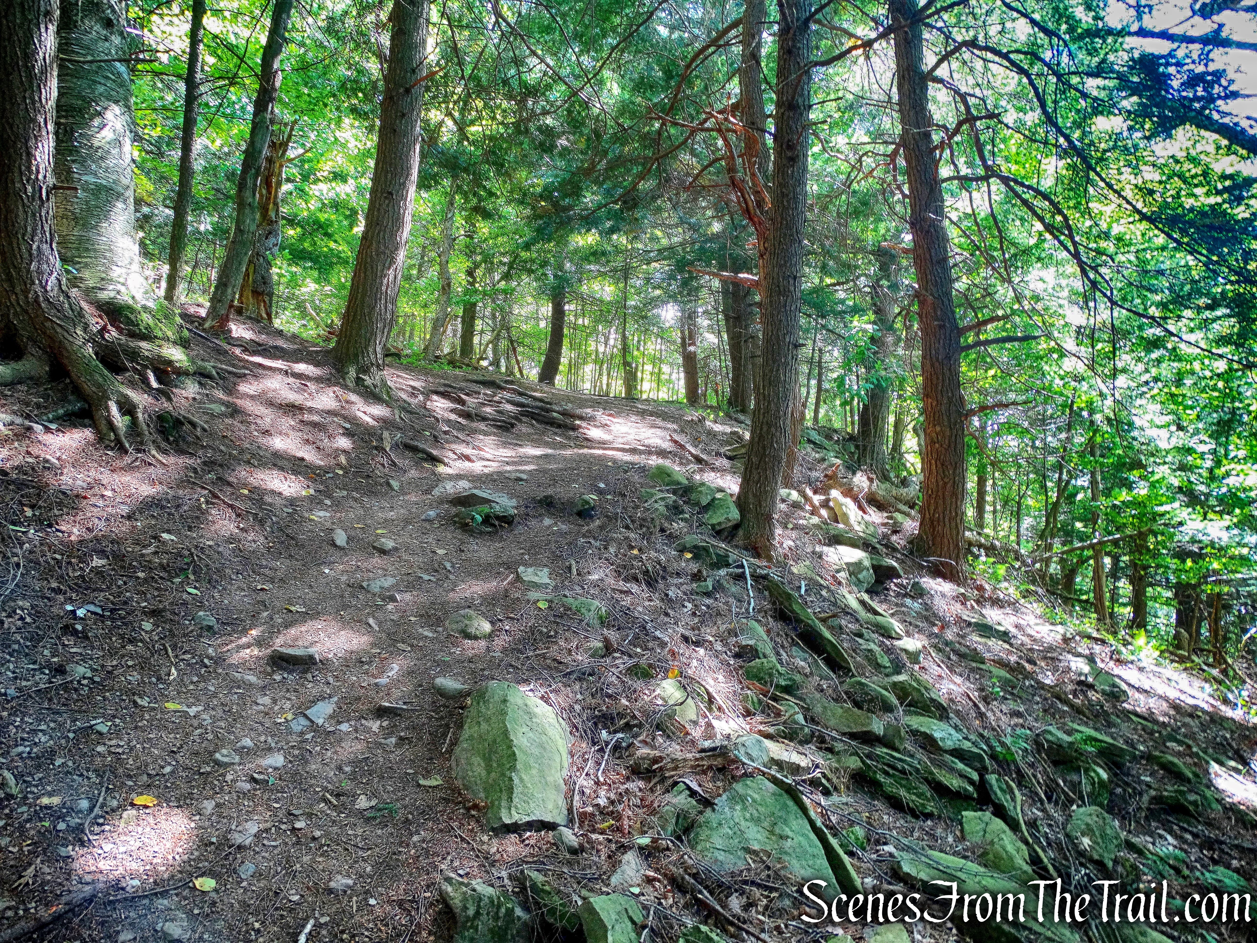 trail towards the top of Pratt Rock