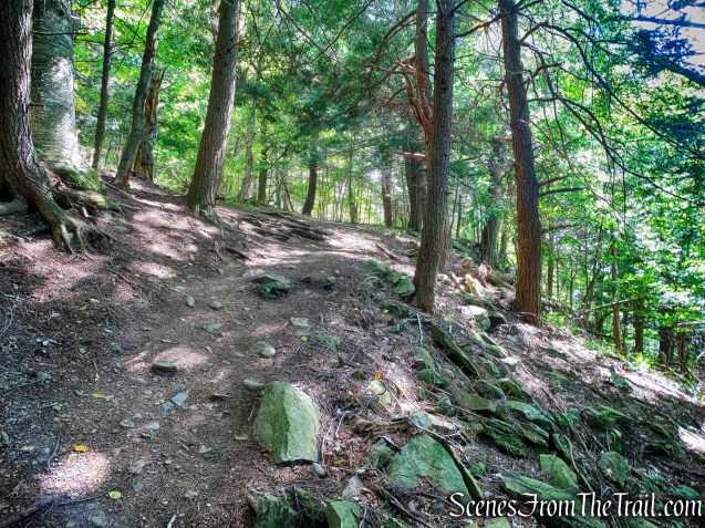 trail towards the top of Pratt Rock