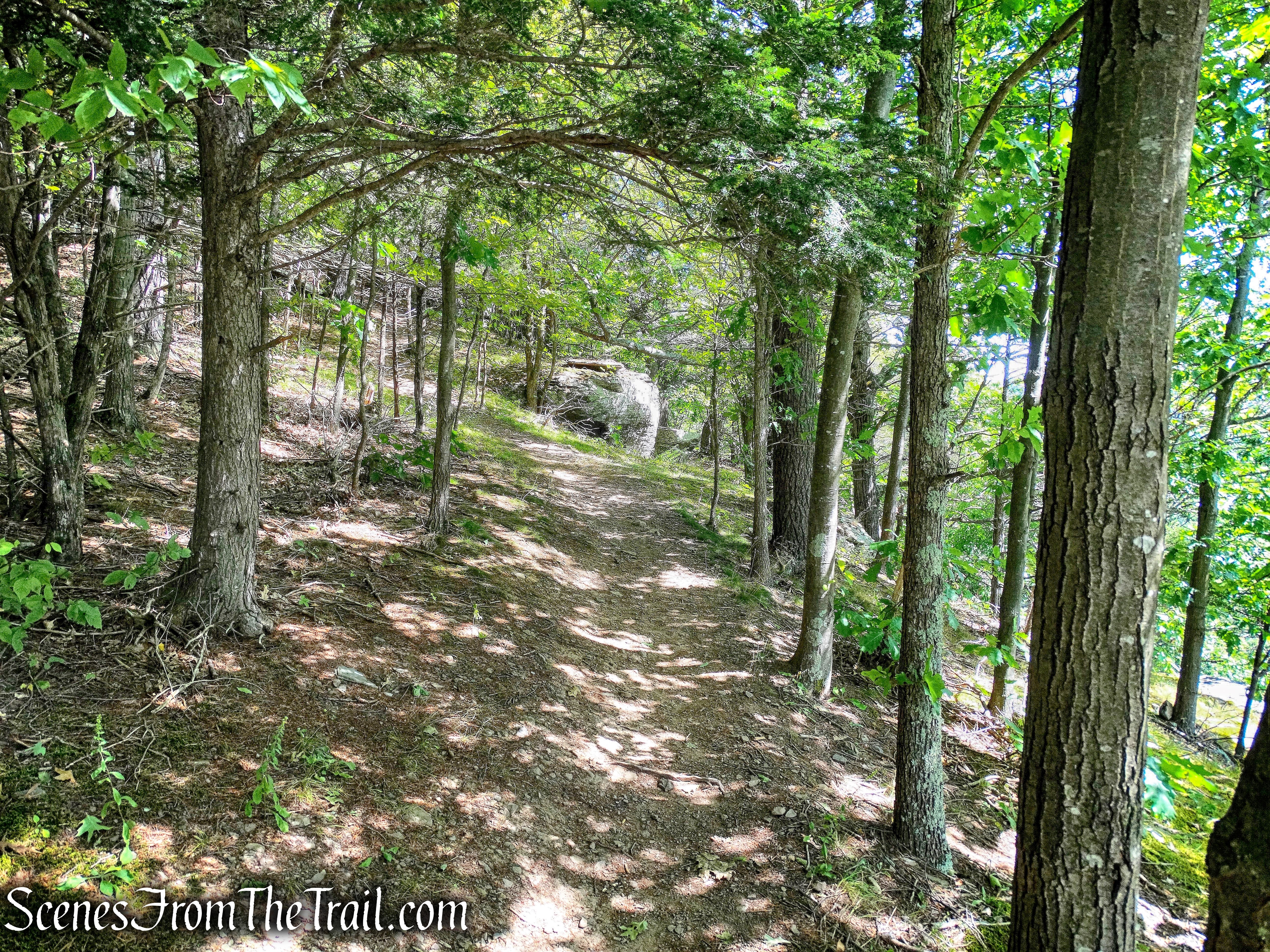 trail continues to climb