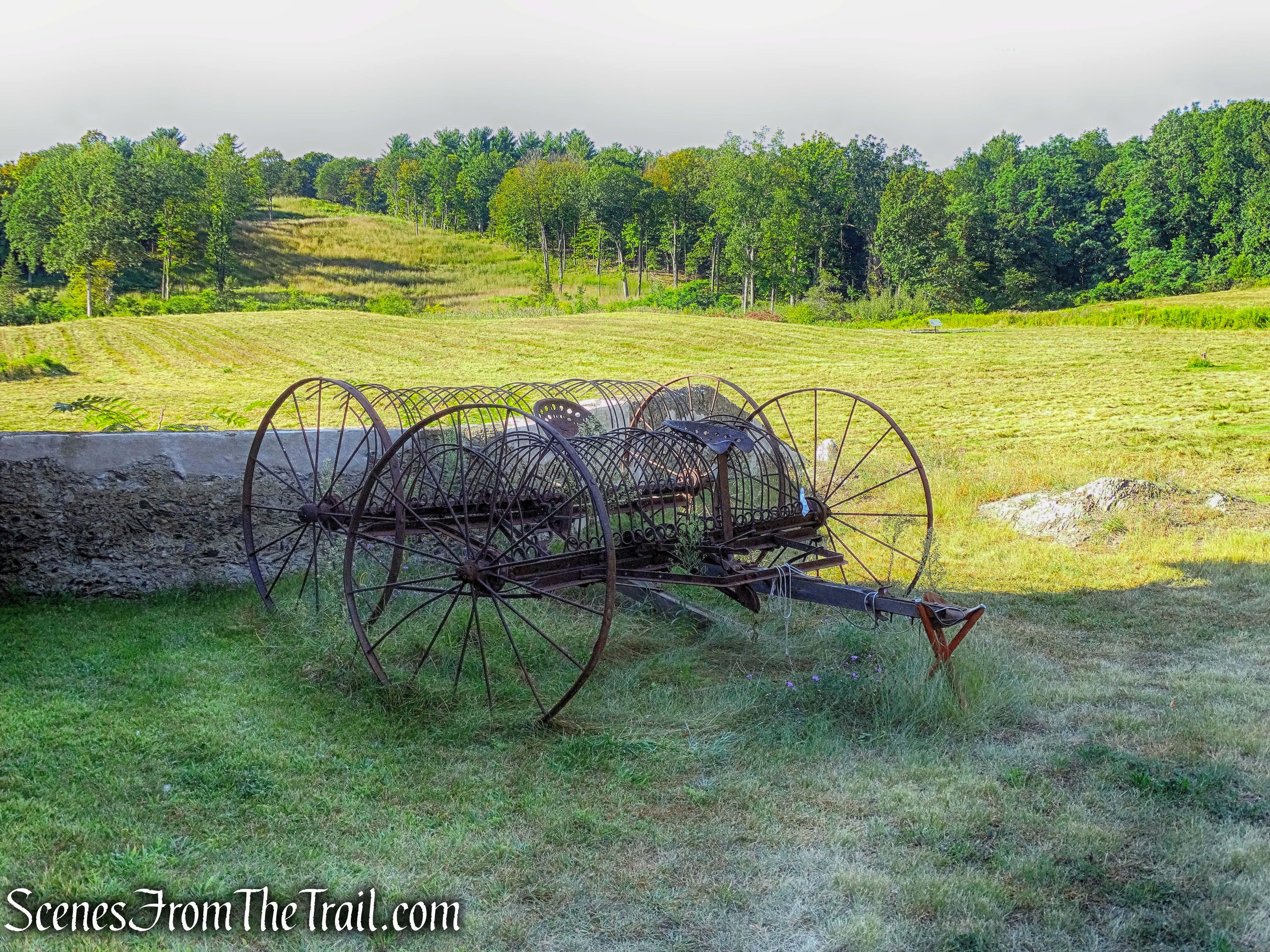 old hay rake