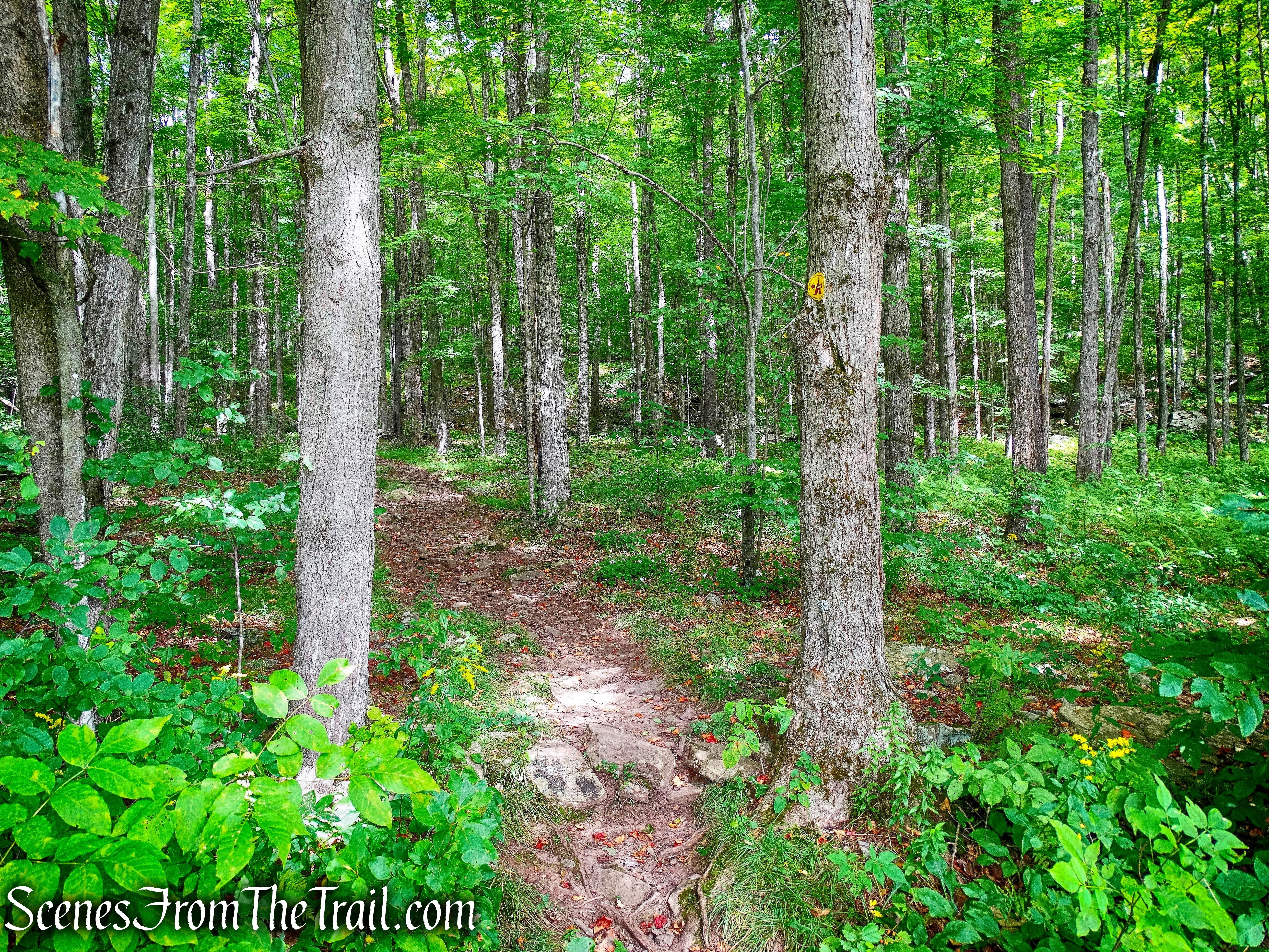 spur trail to campsite