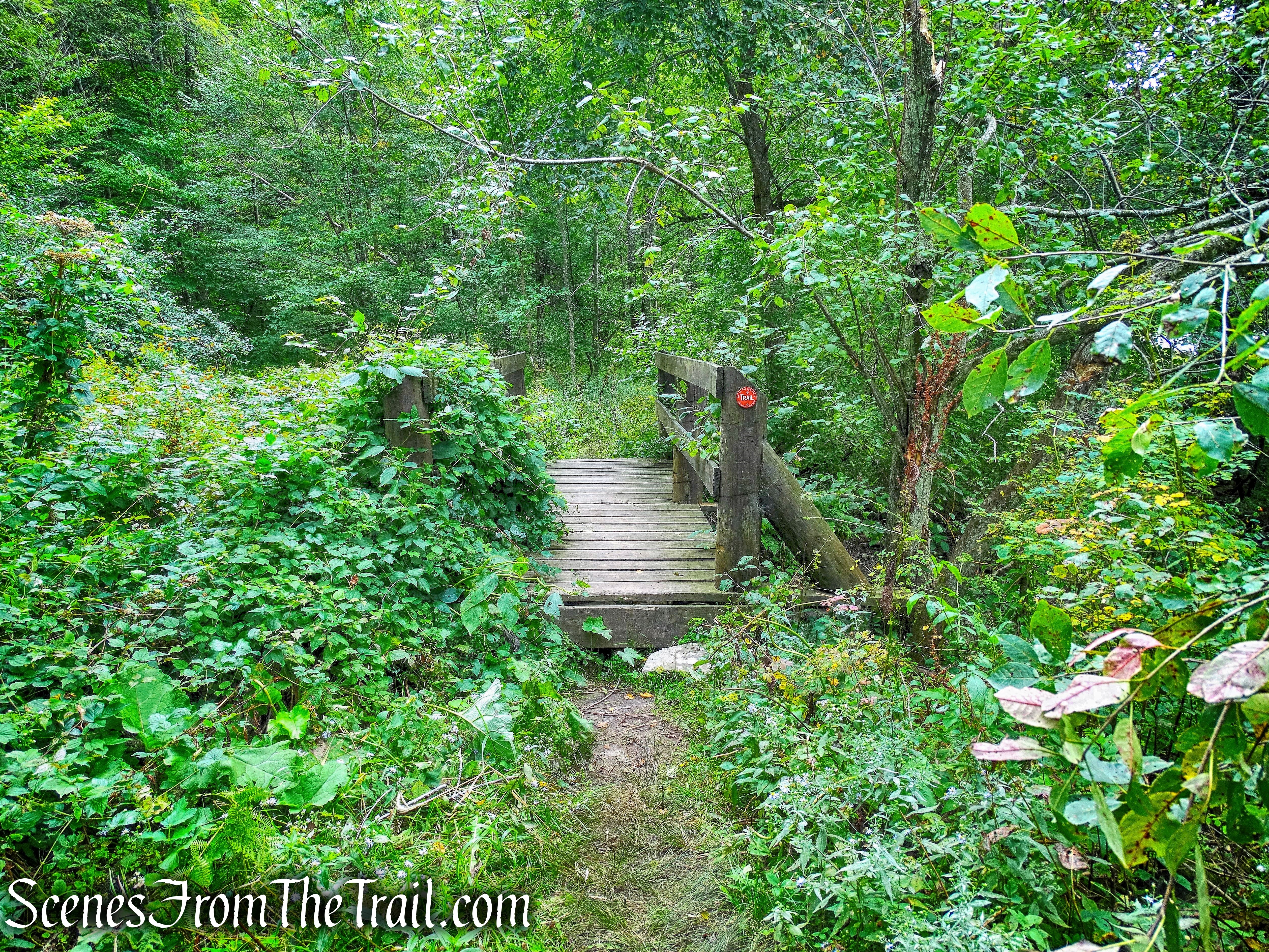 second wooden footbridge