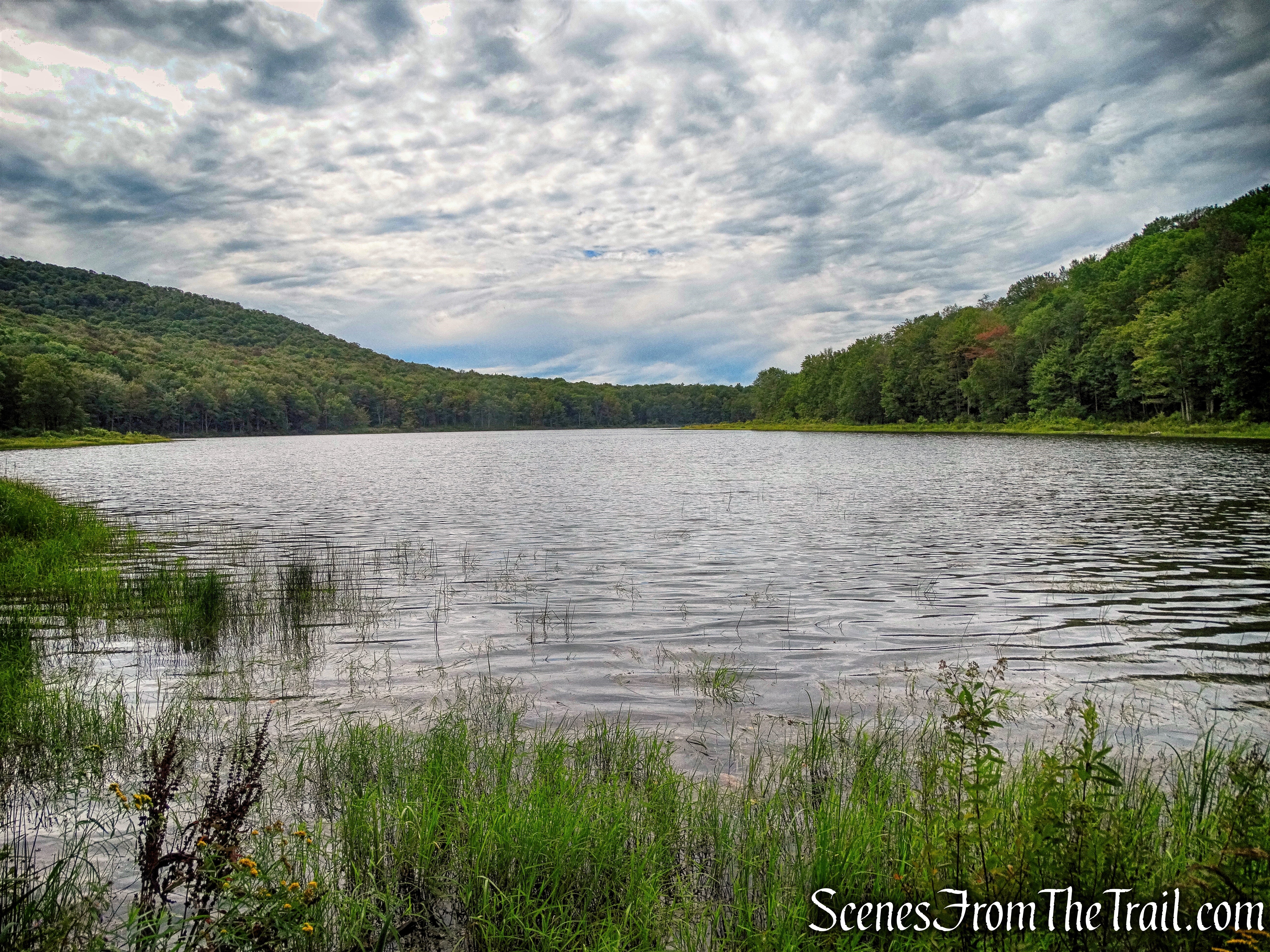Alder Lake - eastern end