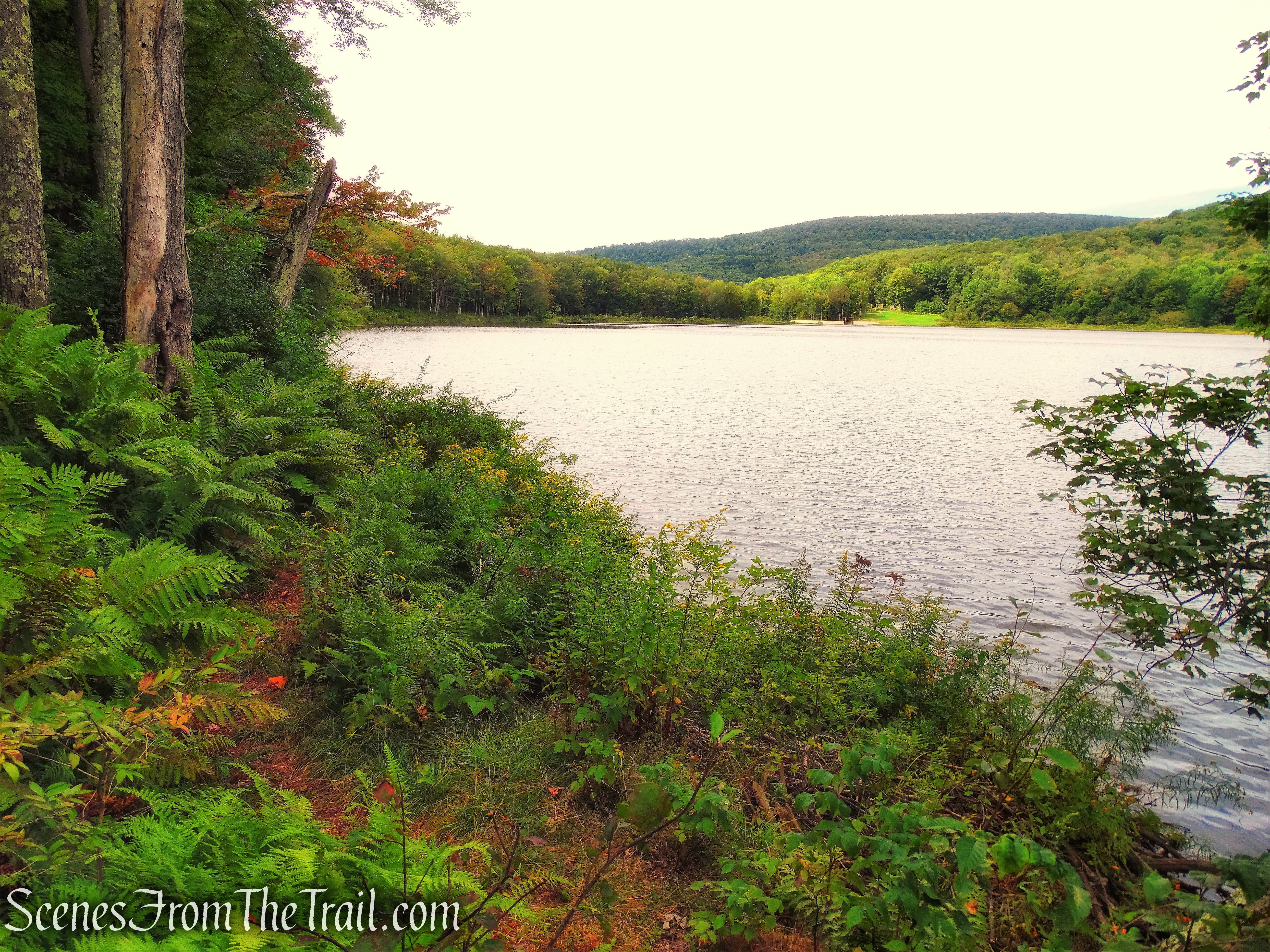 footpath along Alder Lake