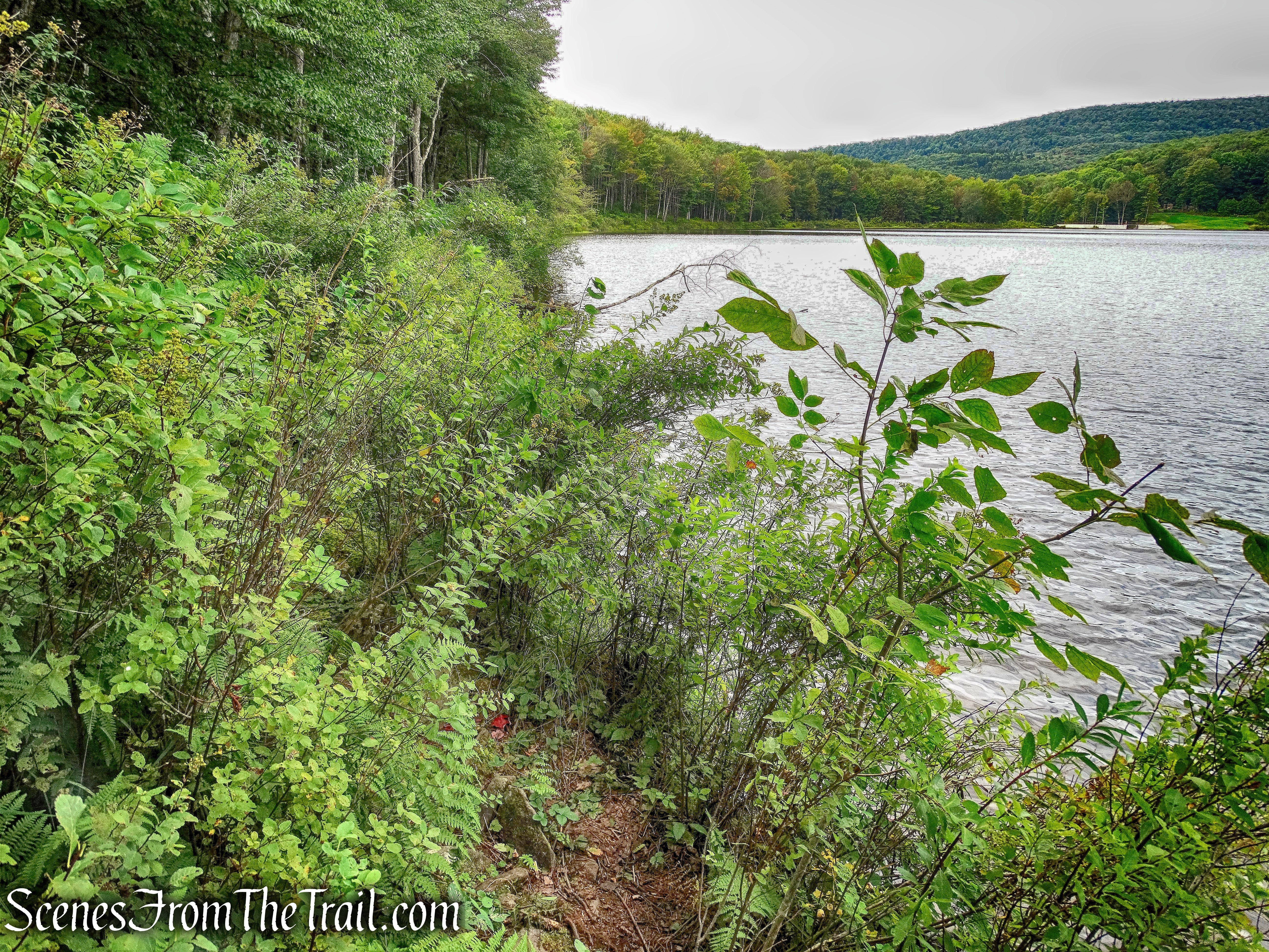 DSC01924_HDR_1_marked