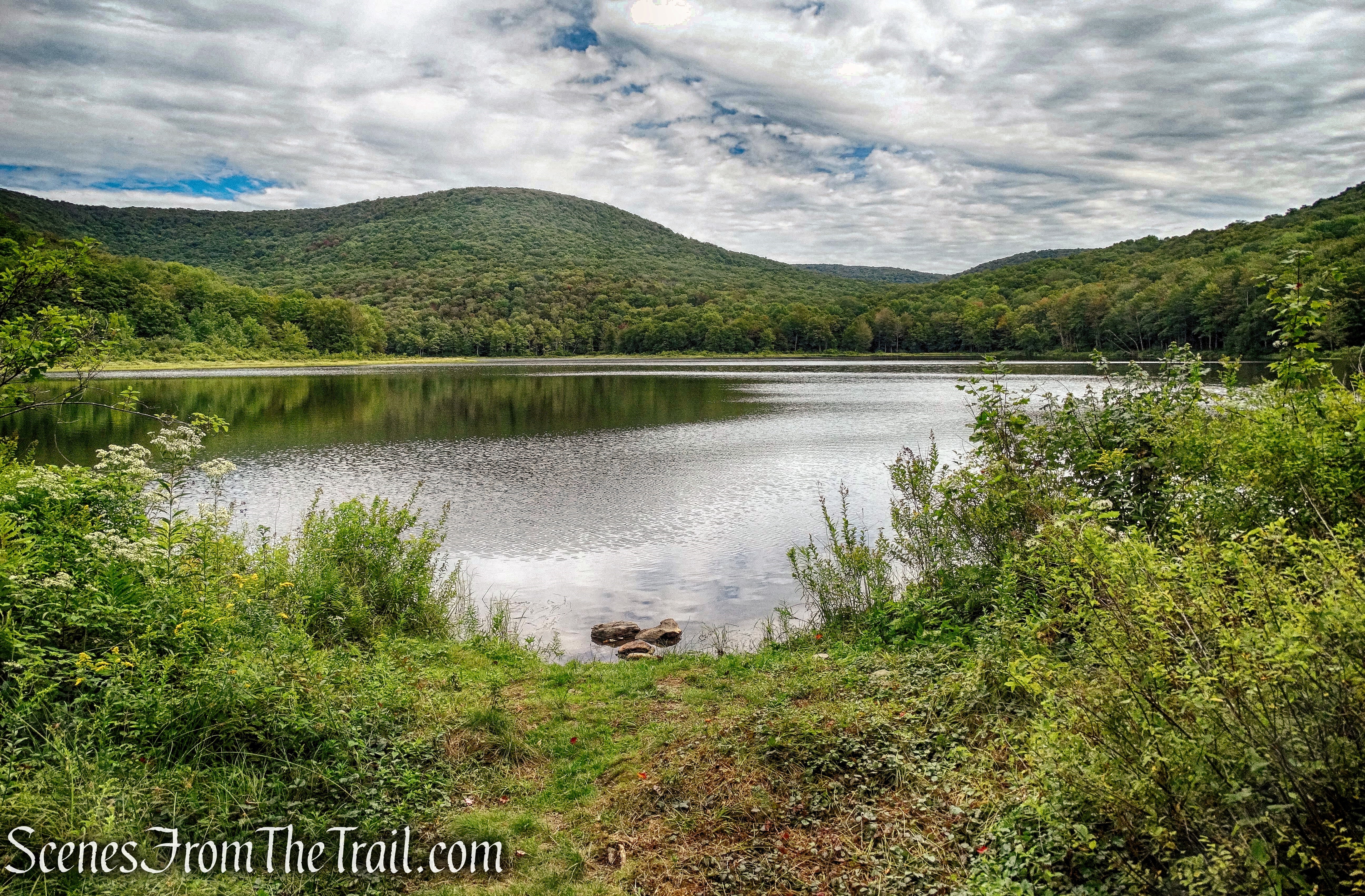 northeast facing view of Alder Lake
