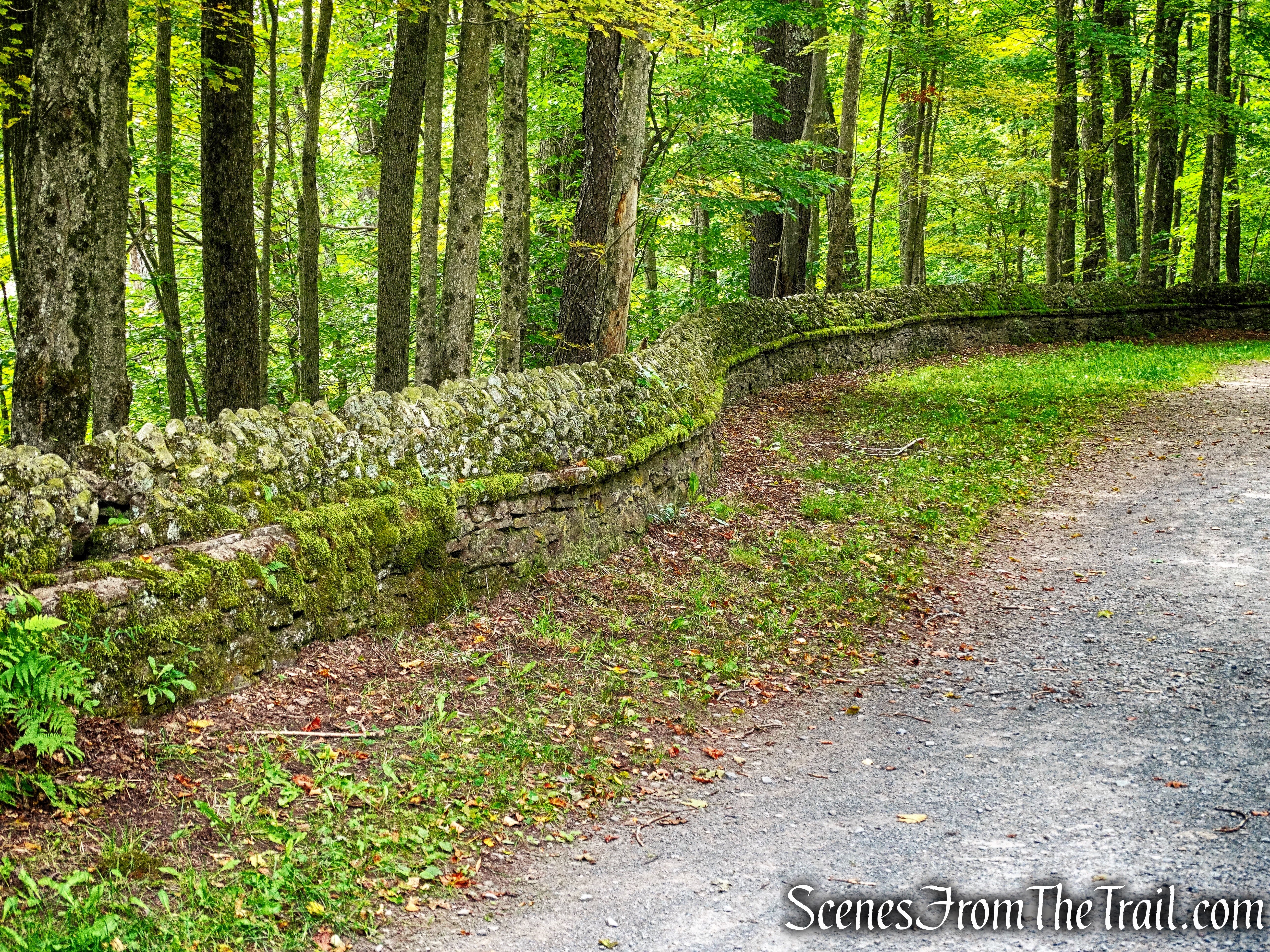 DSC01973_HDR_1_marked