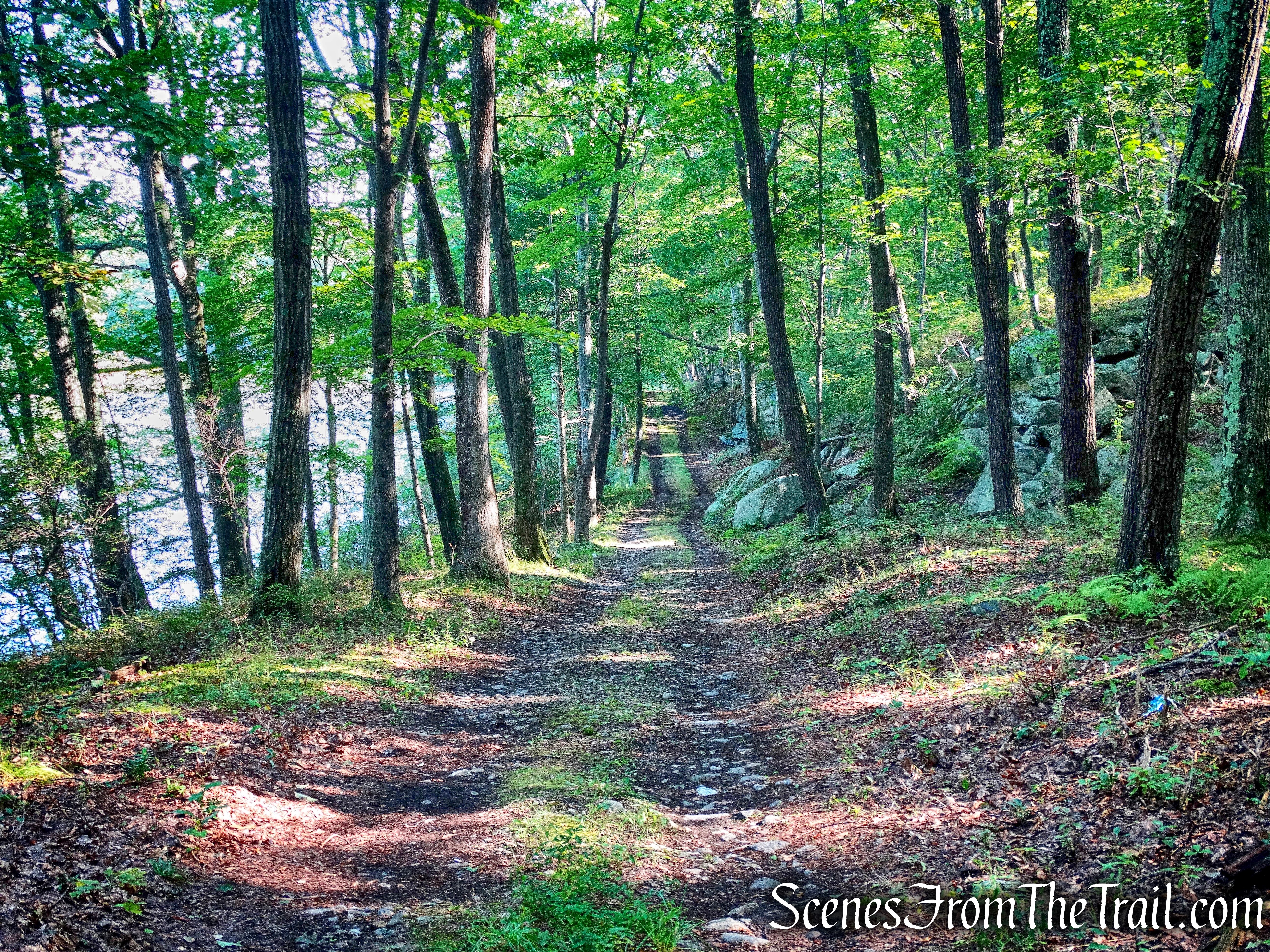 woods road on the eastern shore of Barnes Lake