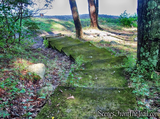 moss lined concrete steps