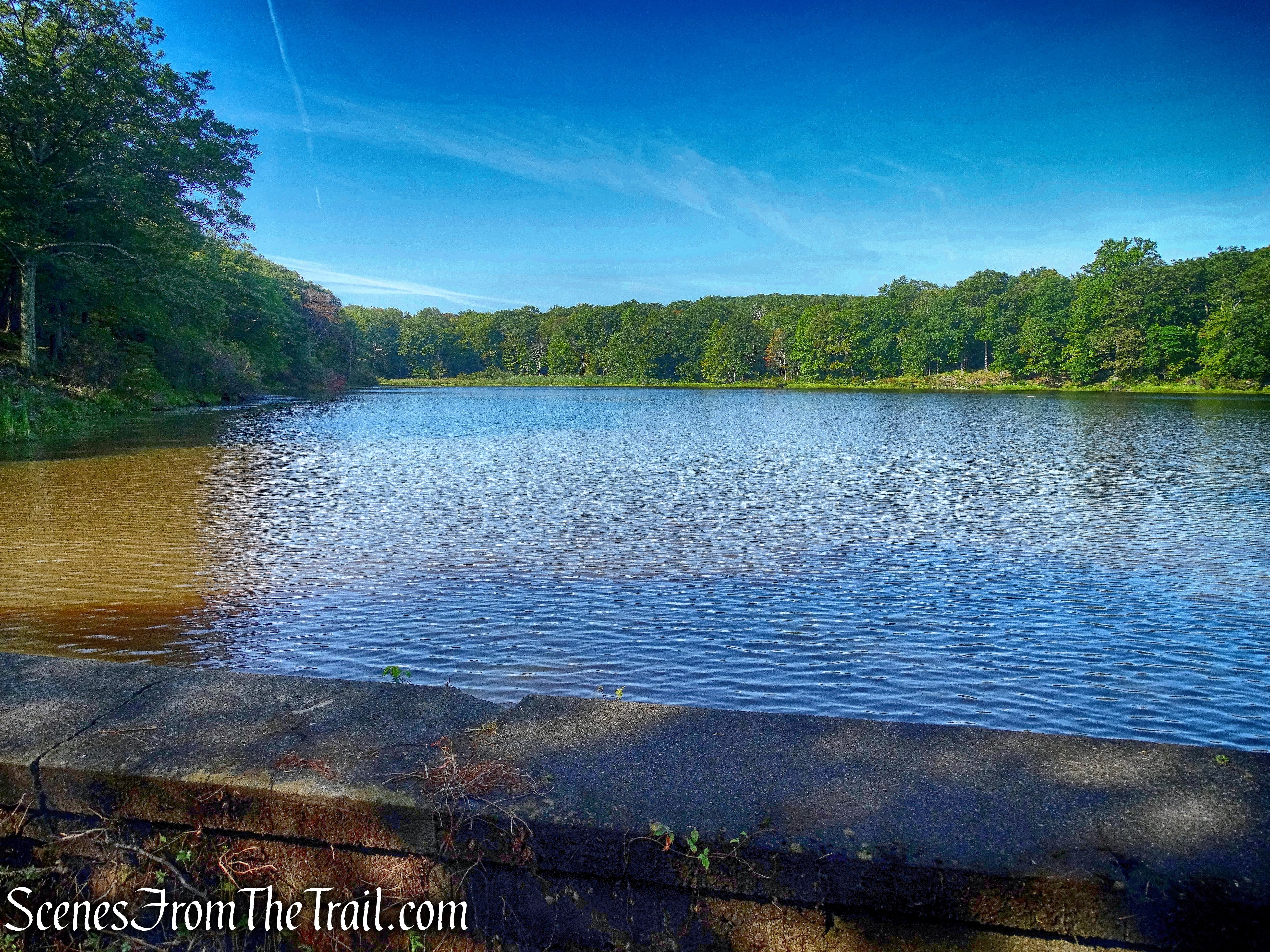 Barnes Lake, looking south from the dam