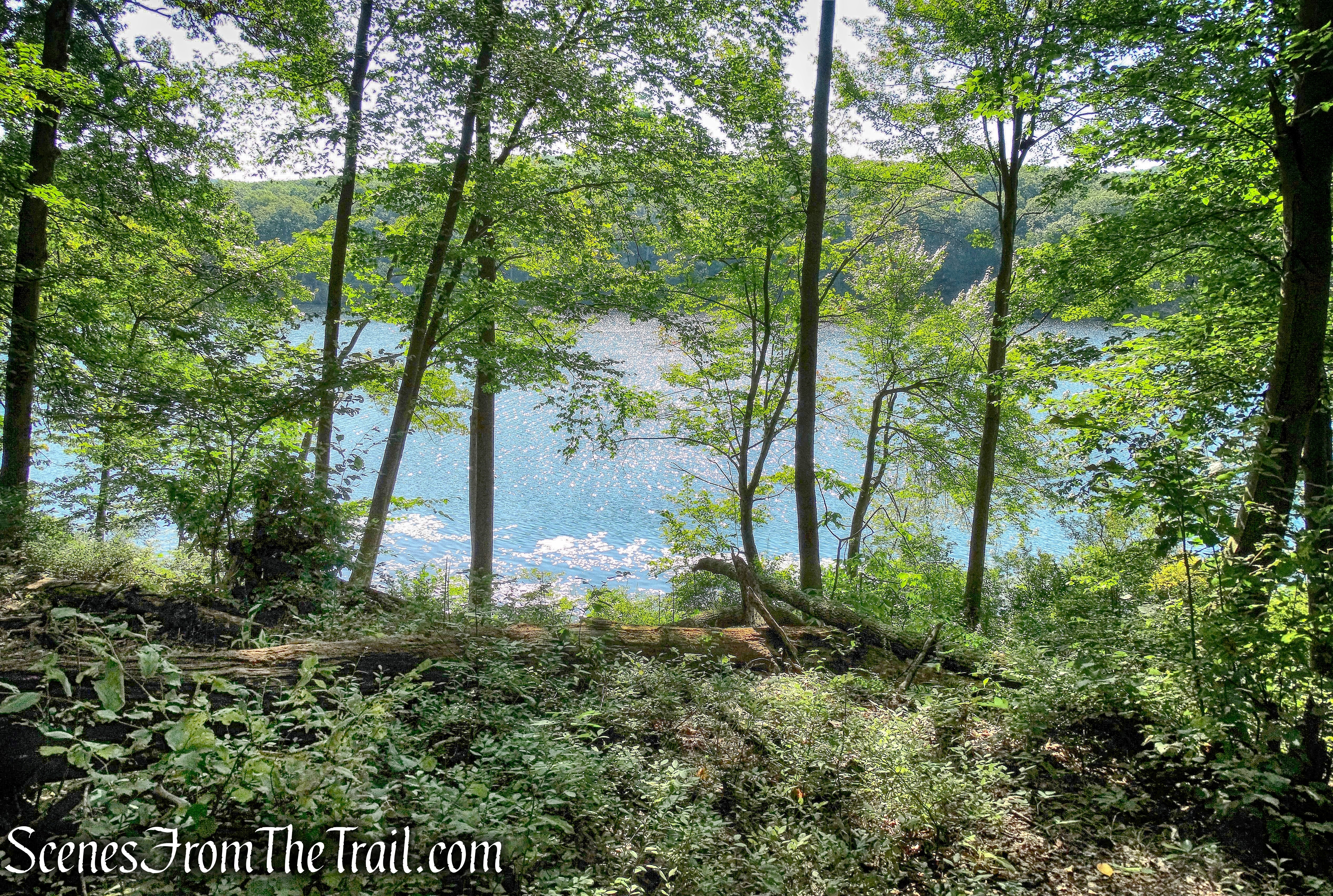 bushwacking towards Lake Massawippa