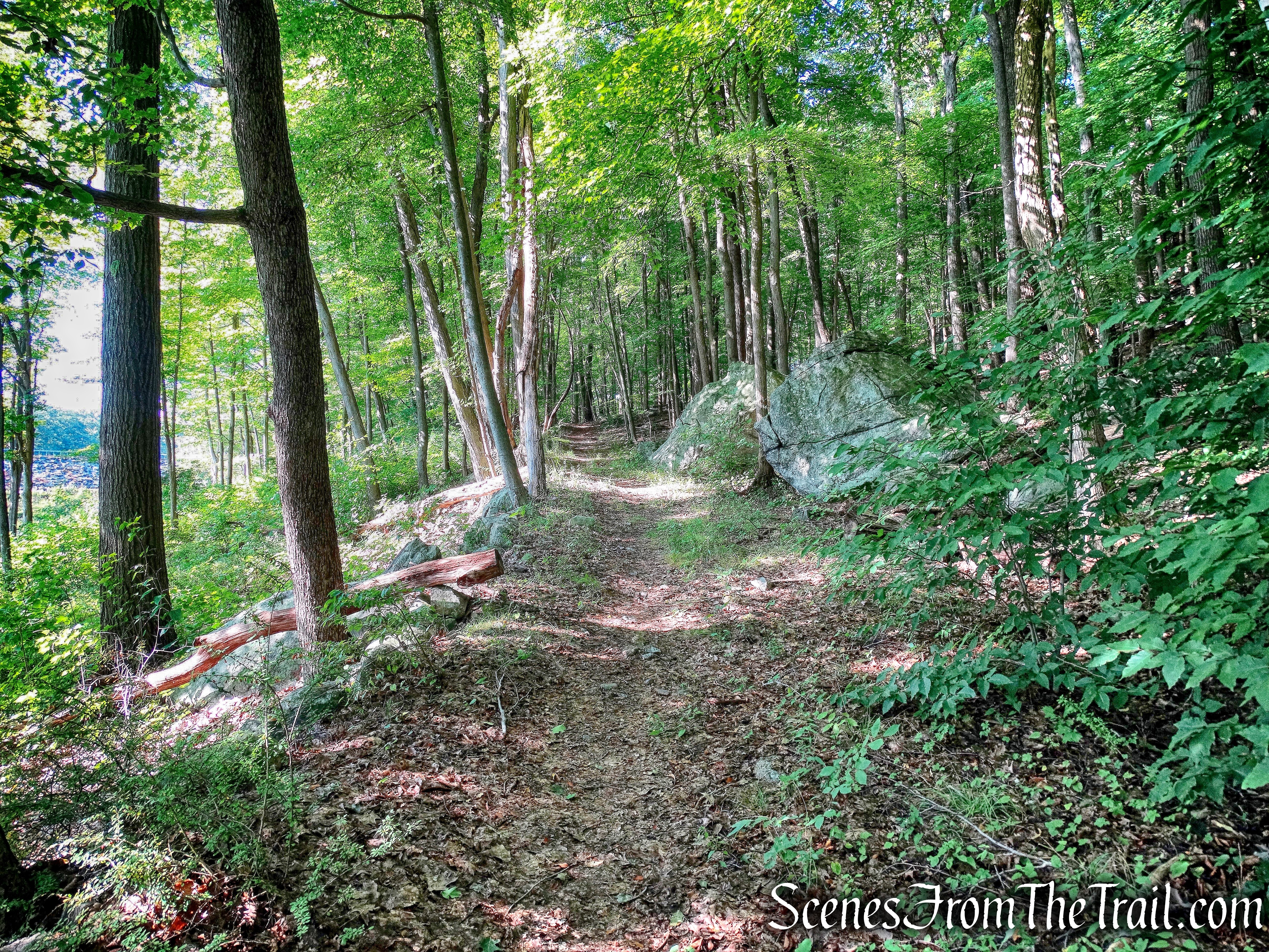 woods road that parallels the western shore of Lake Massawippa