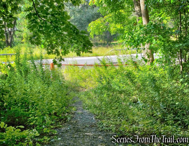 woods road leads out to Long Mountain Parkway