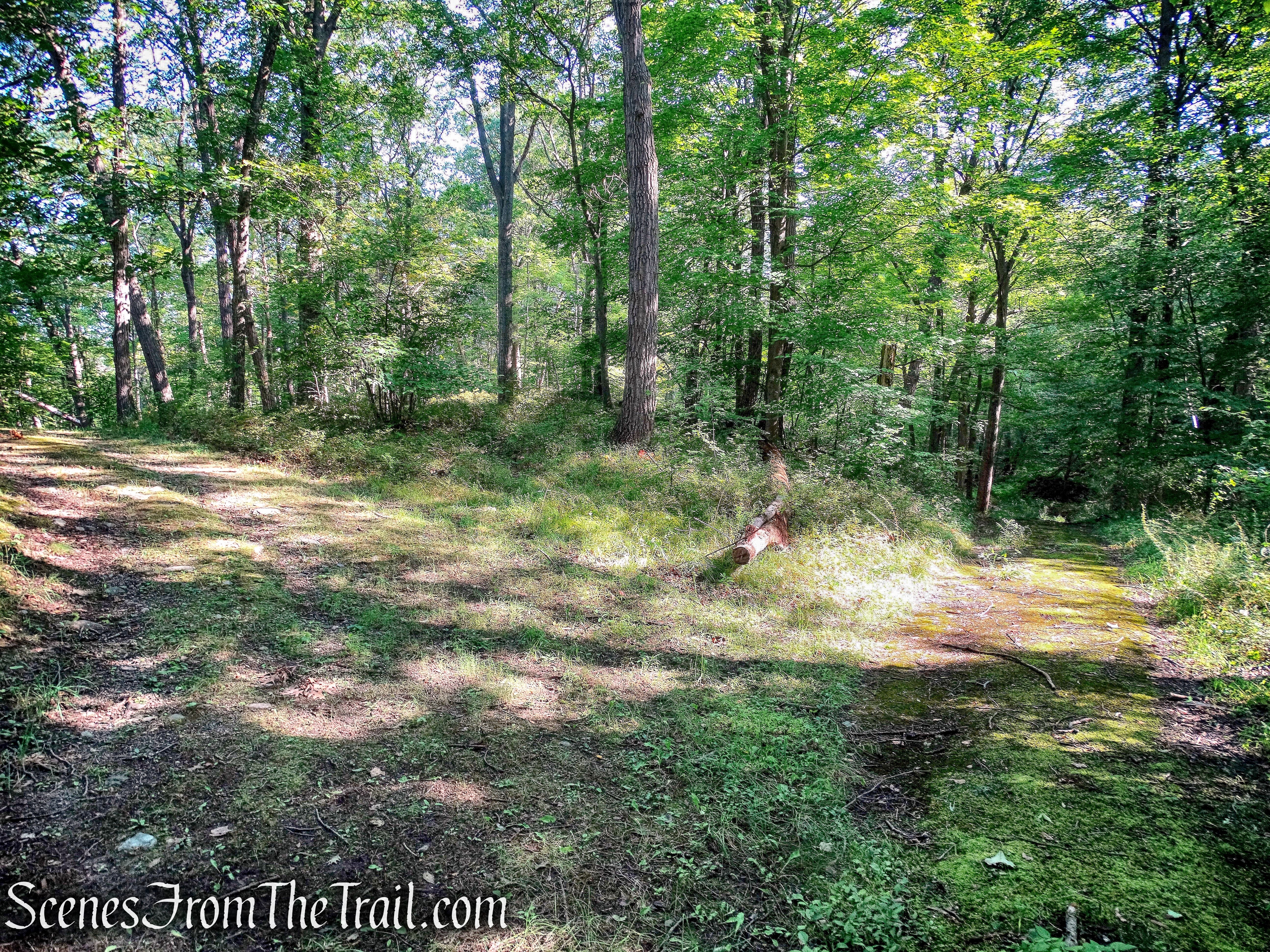 stay right at the fork