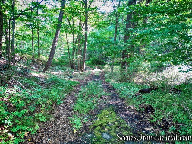 Brooks Hollow Trail