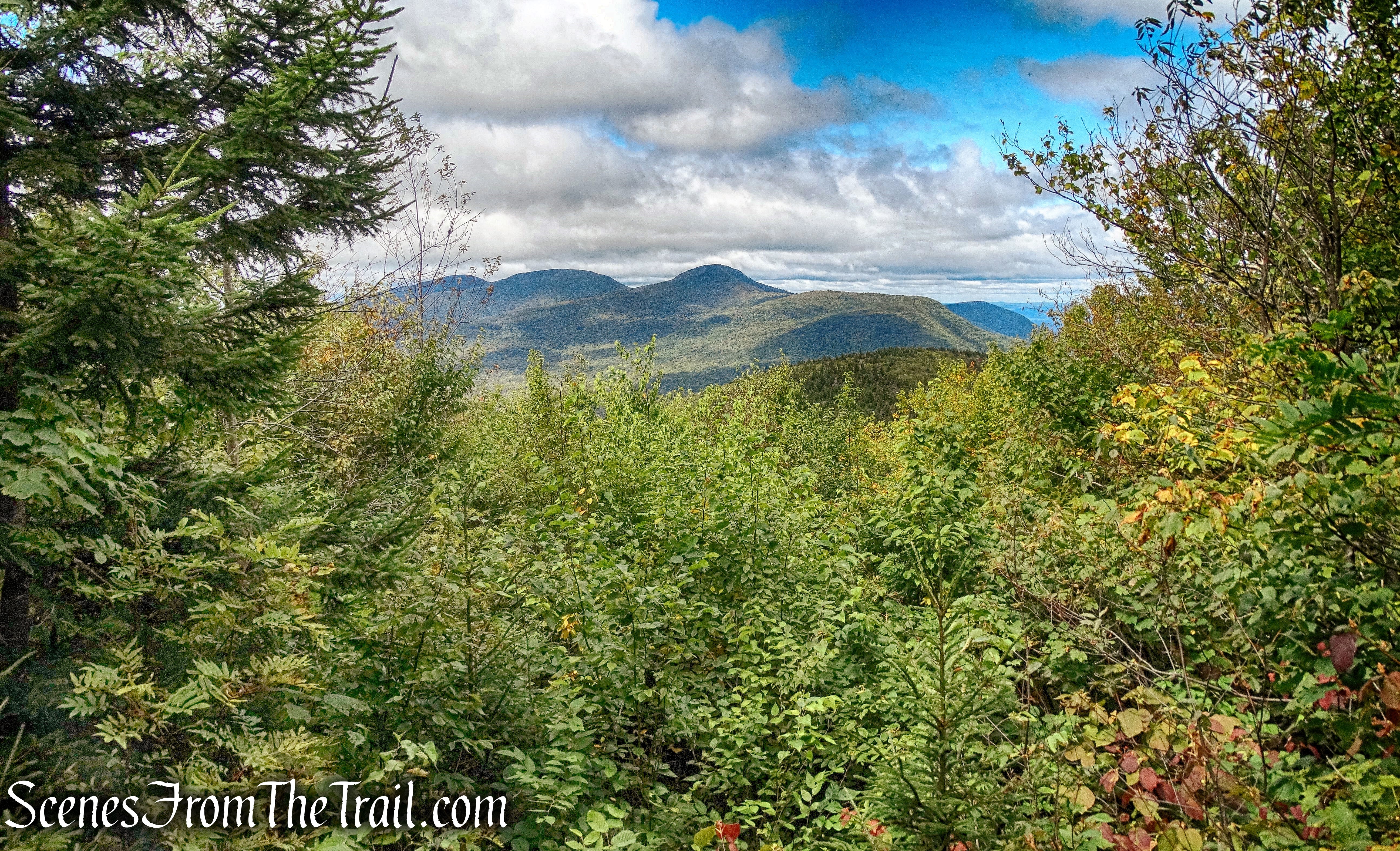 Thomas Cole, Black Dome and Blackhead Mountain