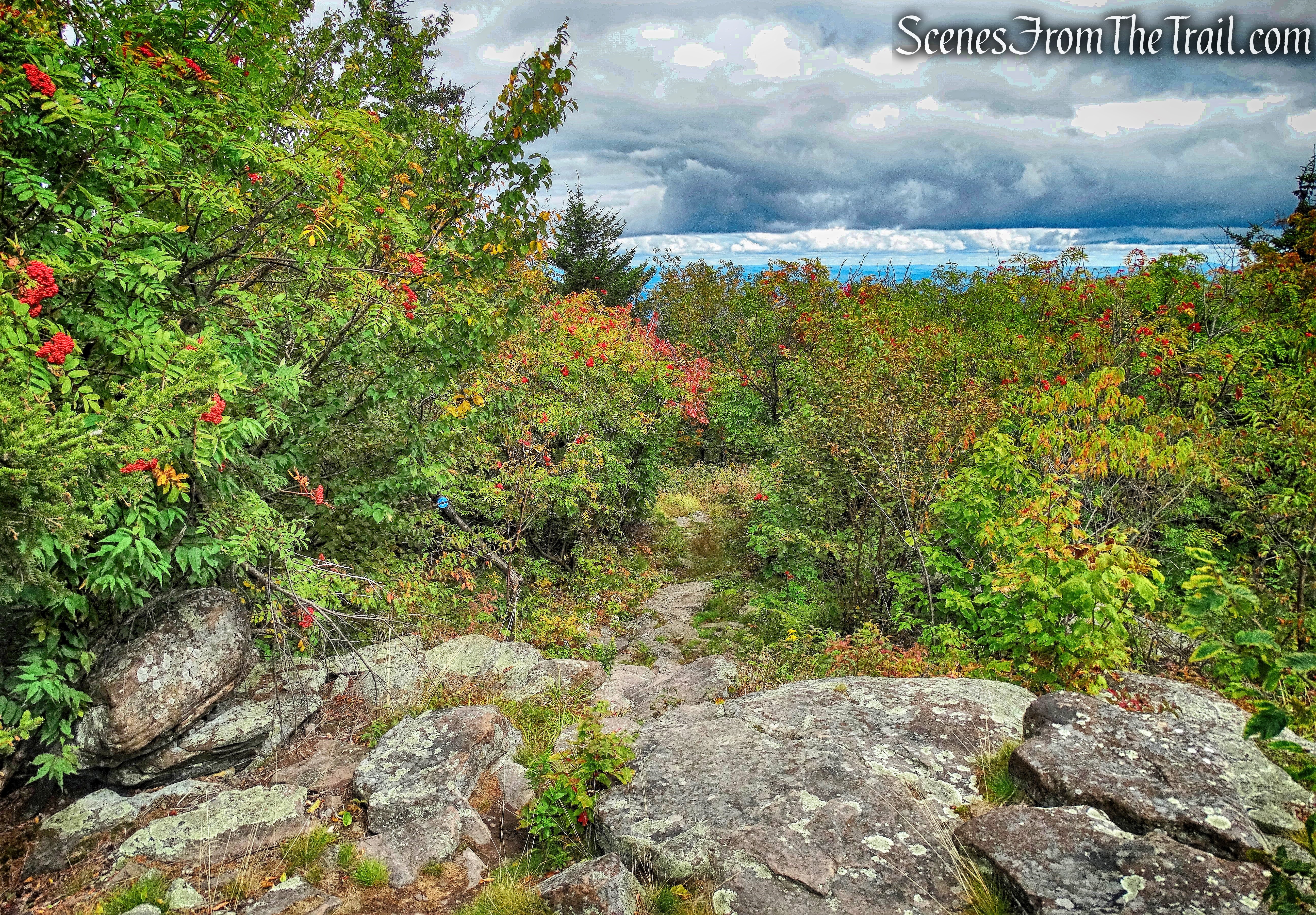 Escarpment Trail