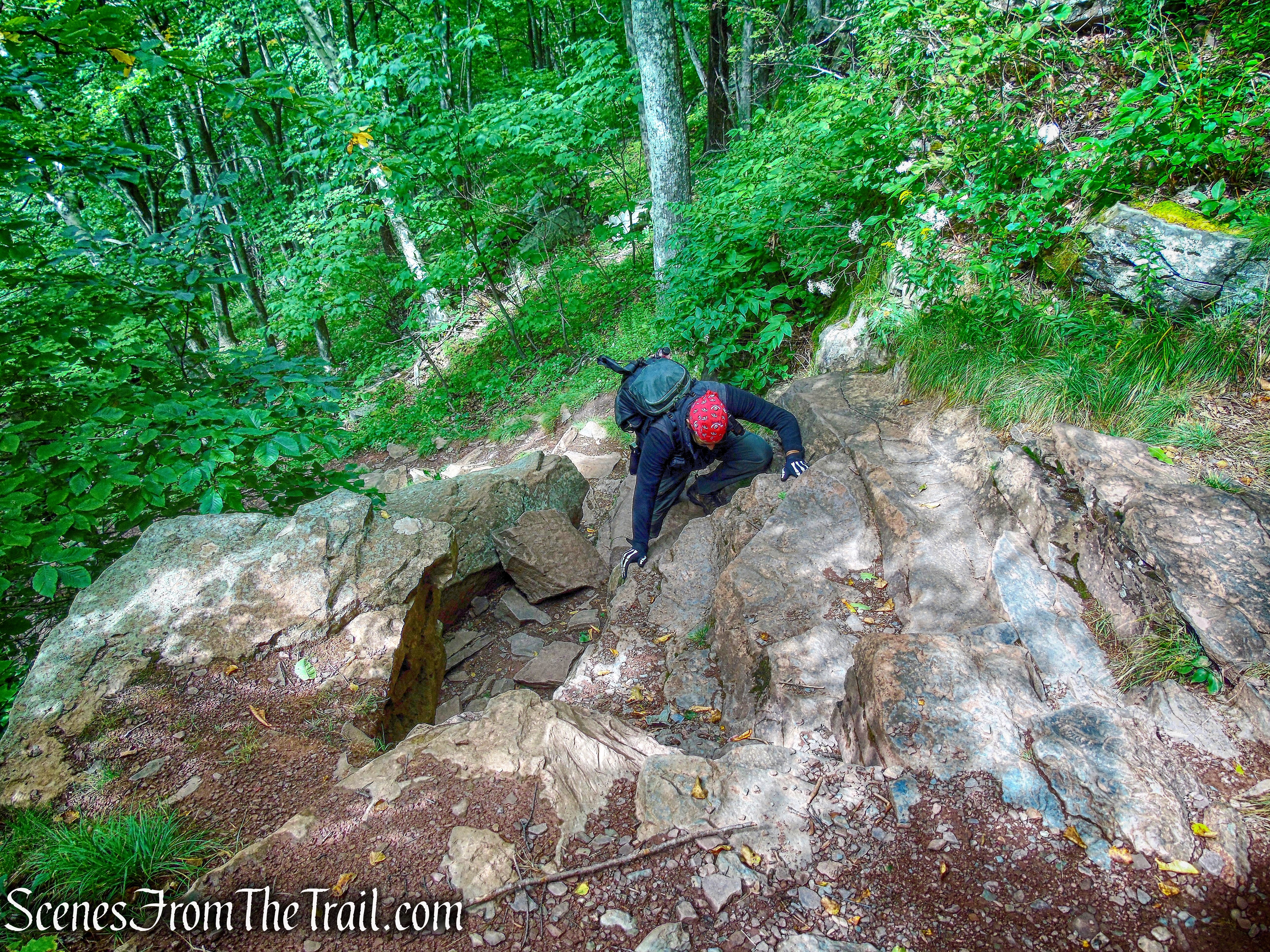 rock scramble - Escarpment Trail