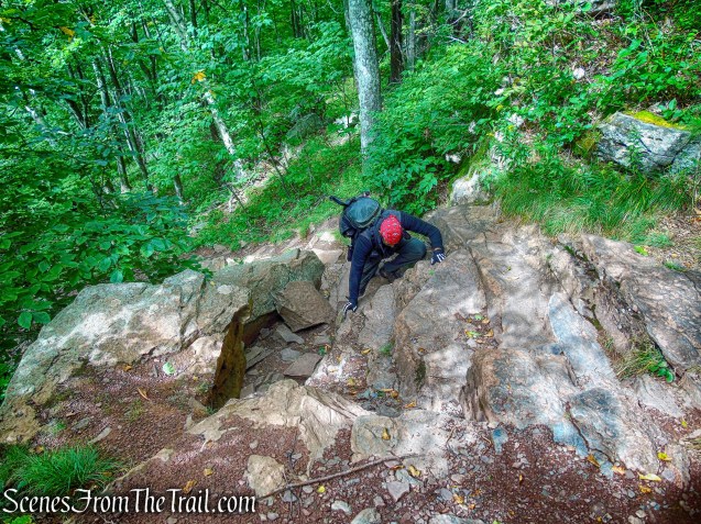 rock scramble - Escarpment Trail