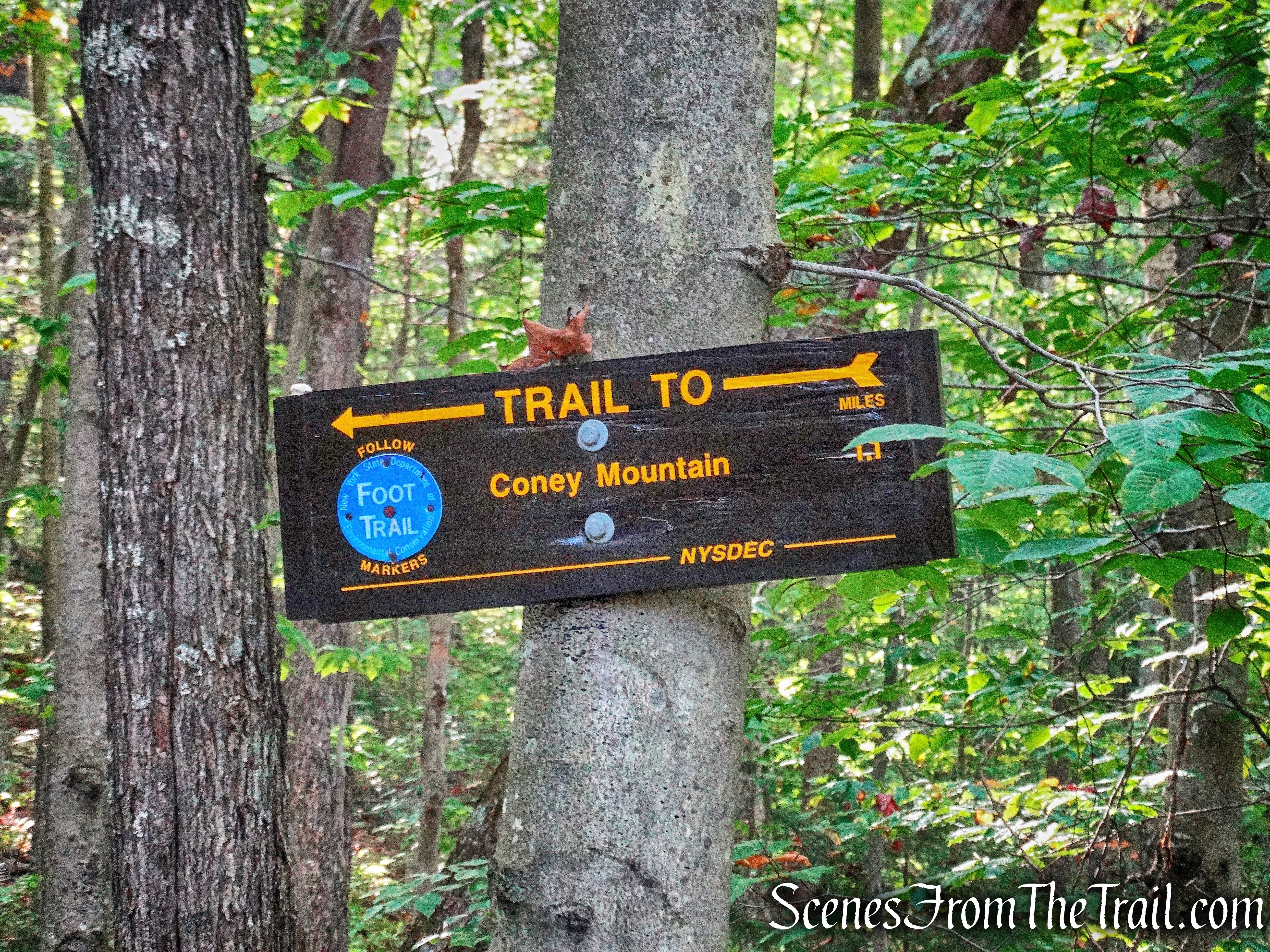 Coney Mountain Trail
