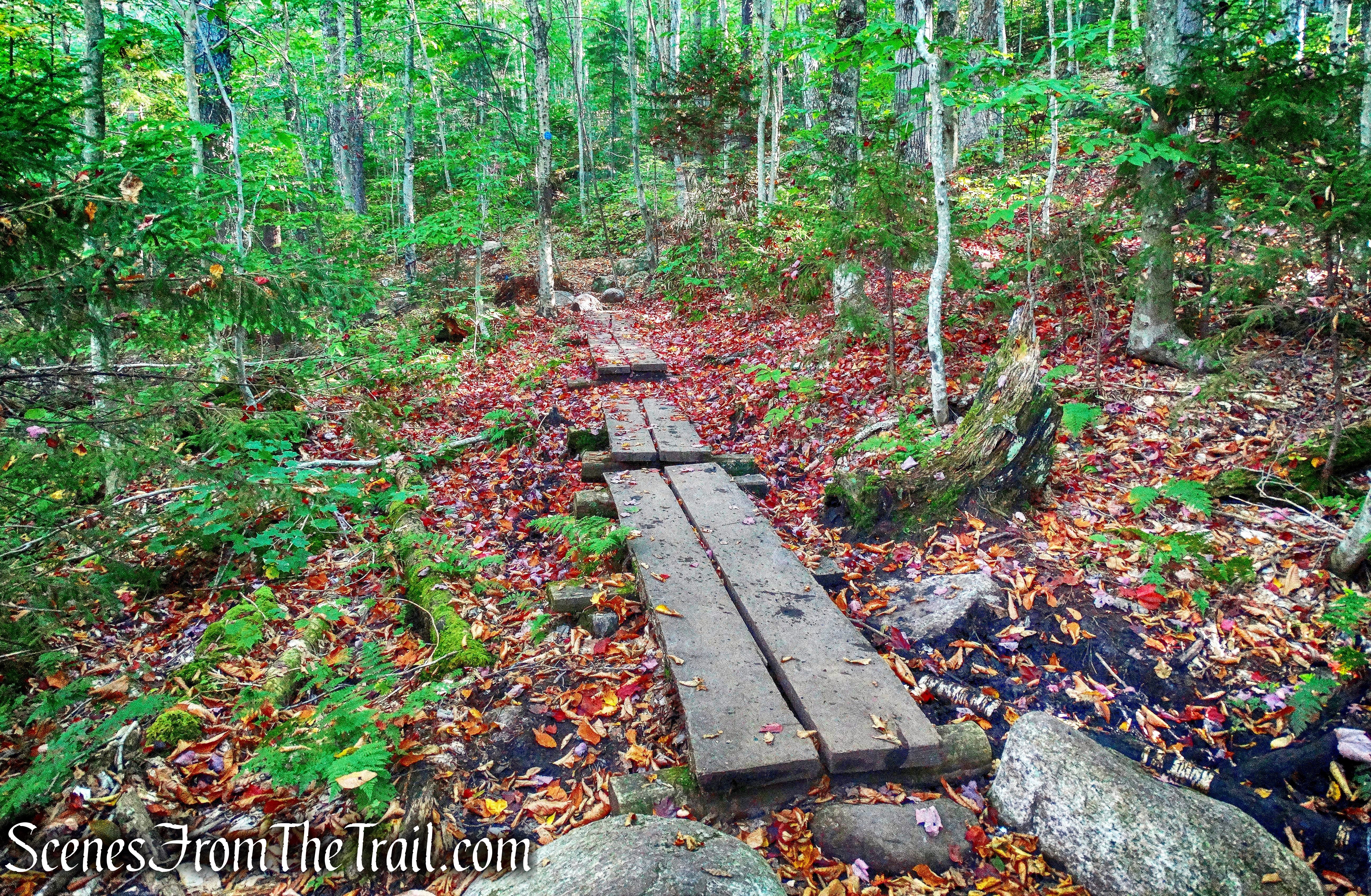 Coney Mountain Trail