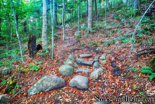Coney Mountain Trail