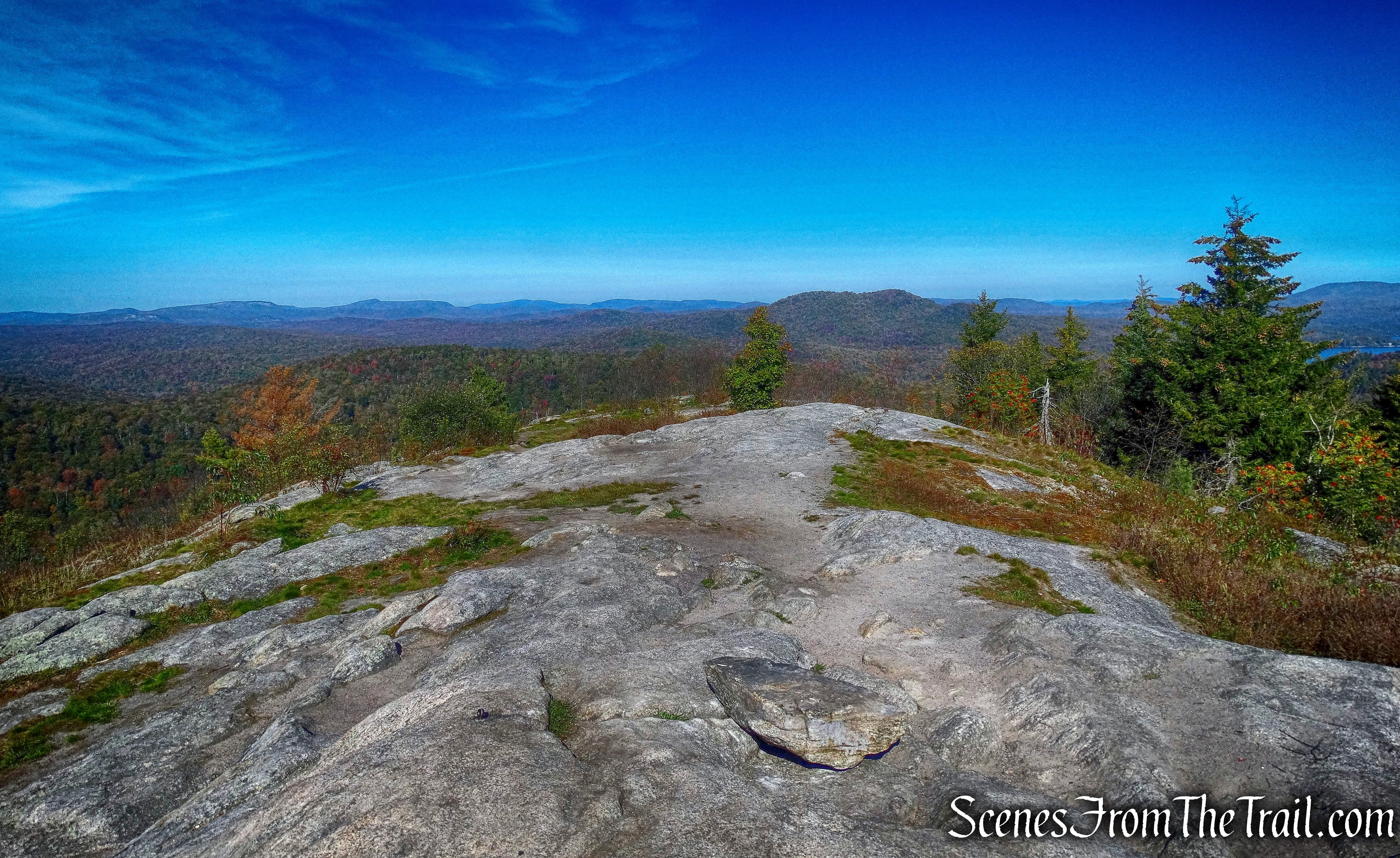 Coney Mountain summit - western facing view
