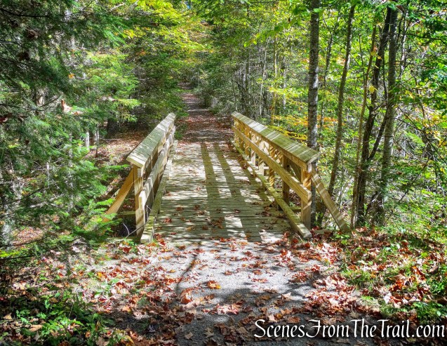 wooden footbridge - Goodman Mountain Trail