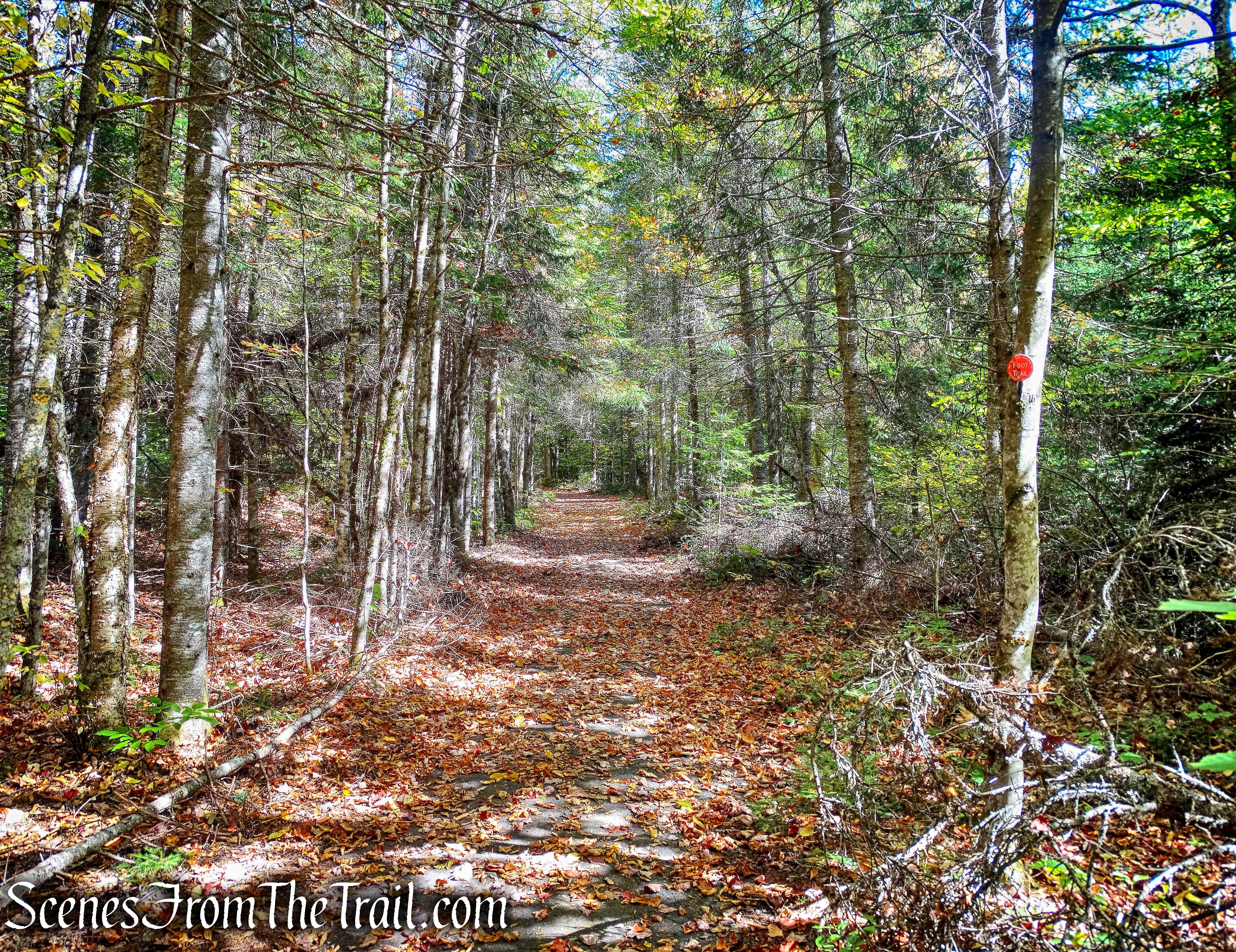 Goodman Mountain Trail
