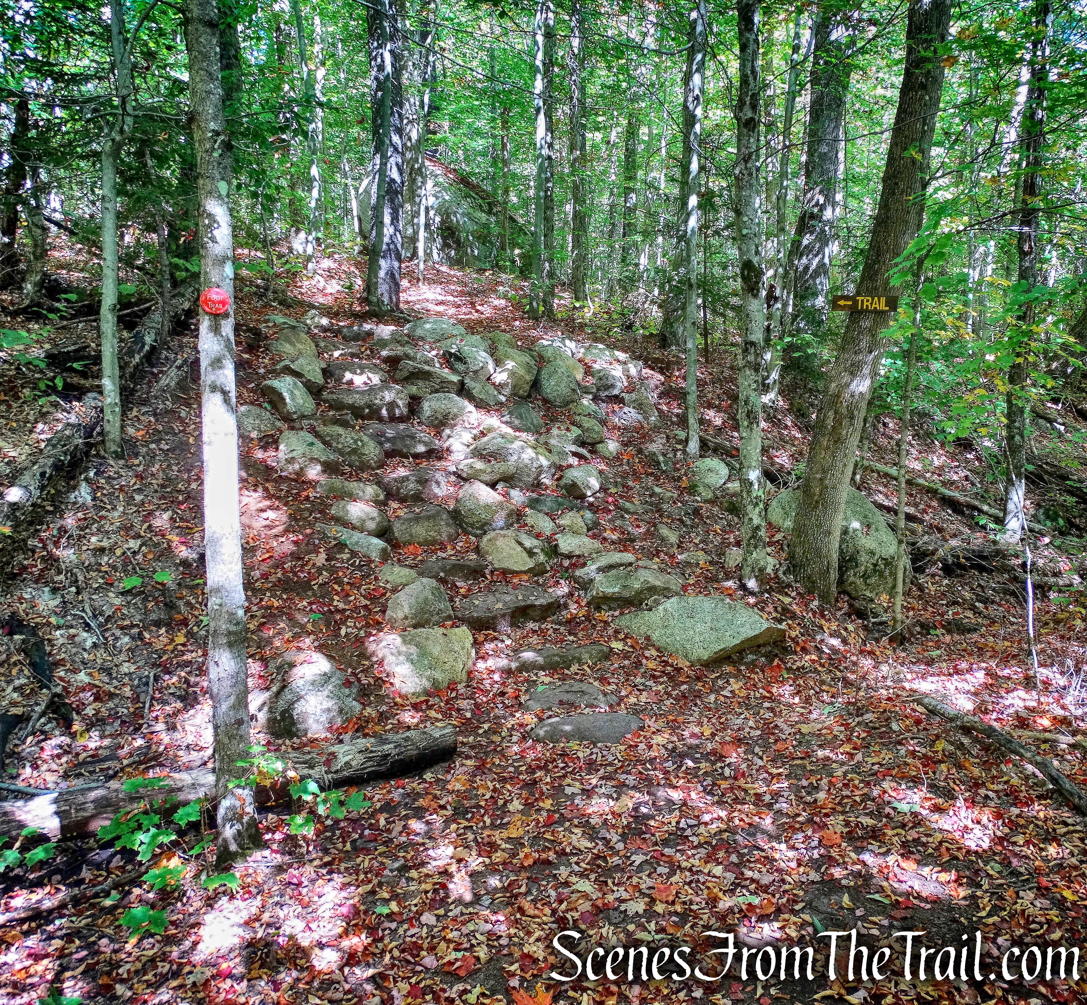 Goodman Mountain Trail