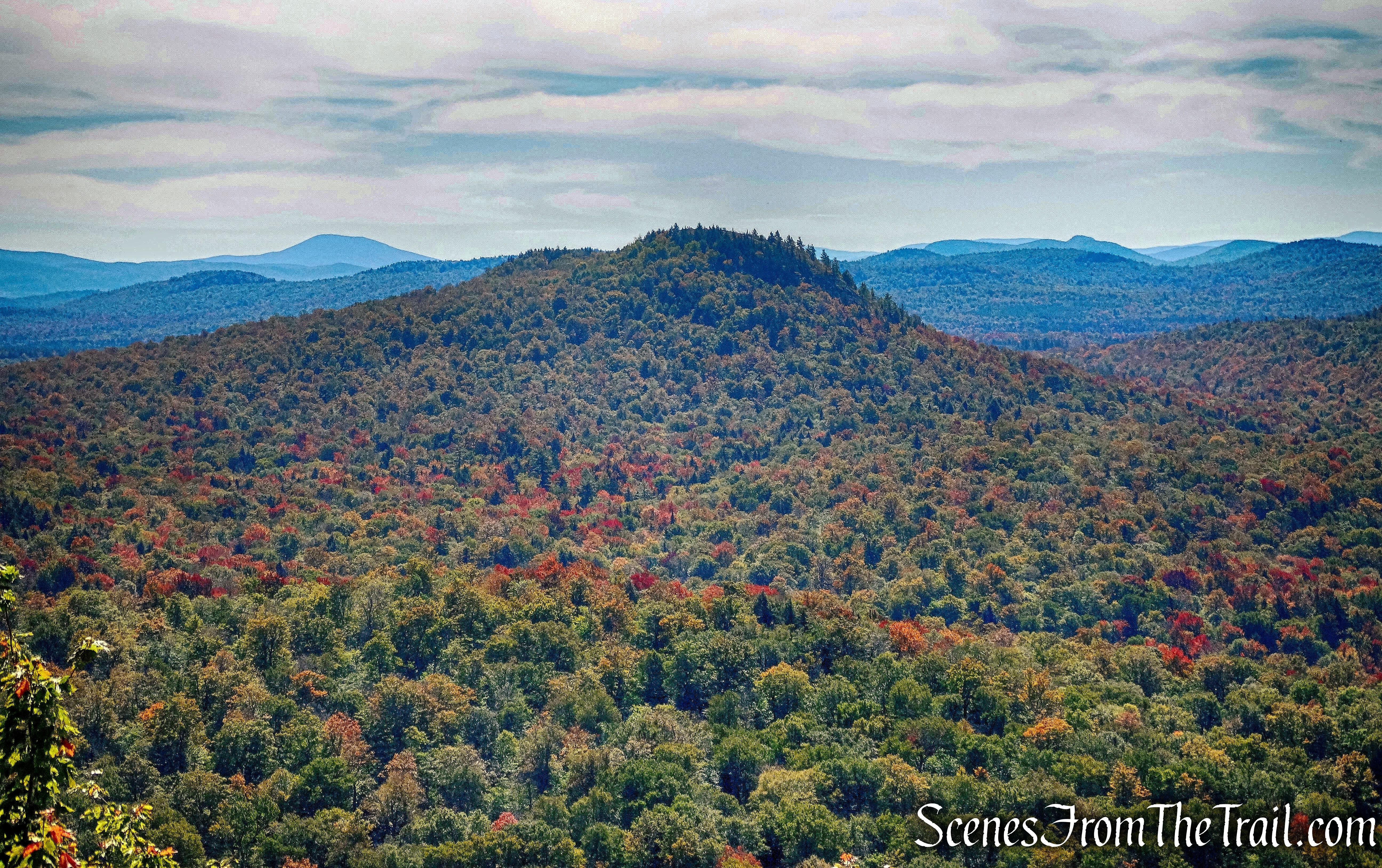 Coney Mountain as viewed from Goodman Mountain summit