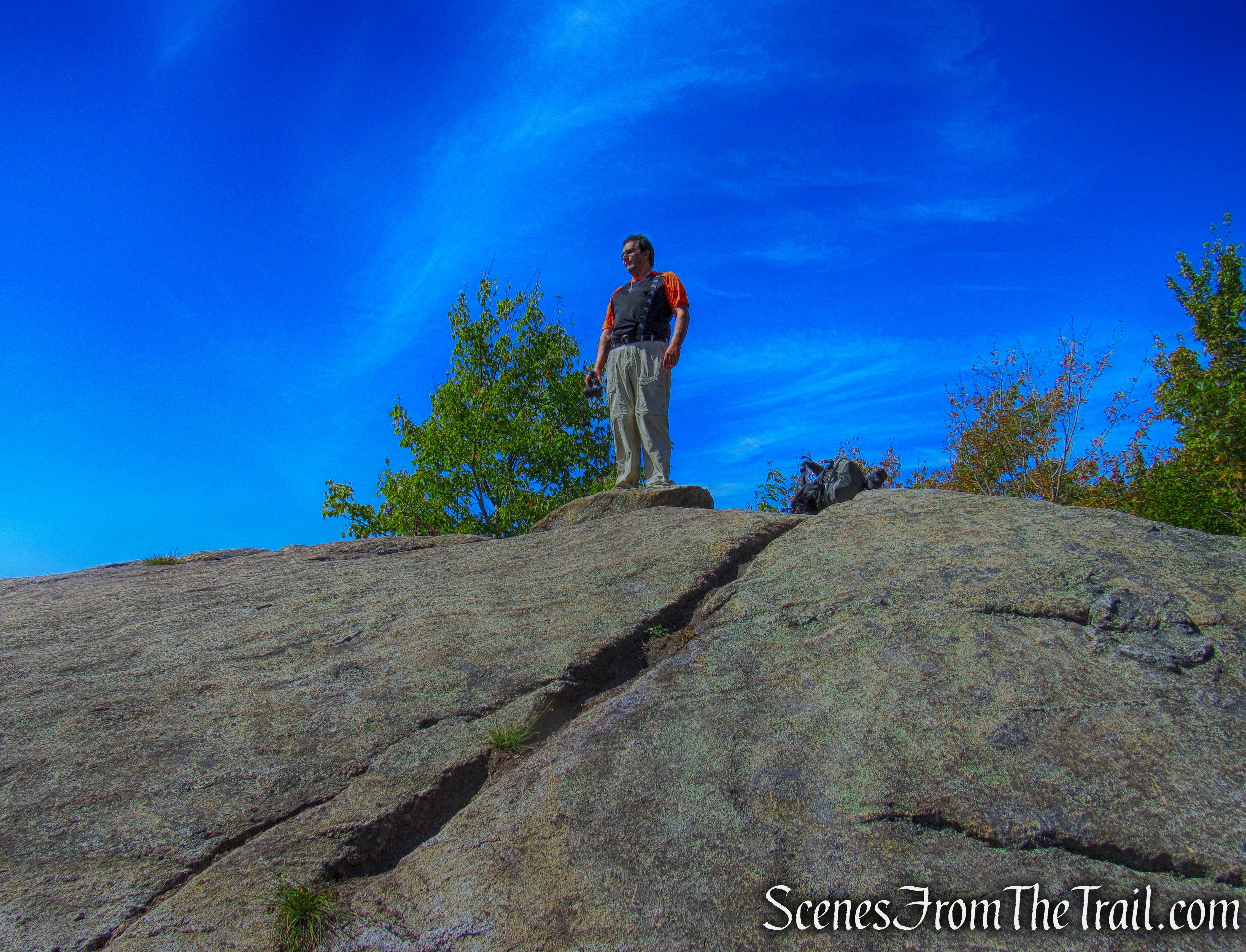 Coney Mountain summit