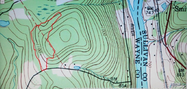 Damascus Forest Trail