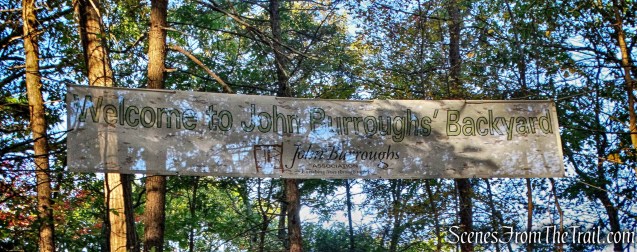 John Burroughs' backyard