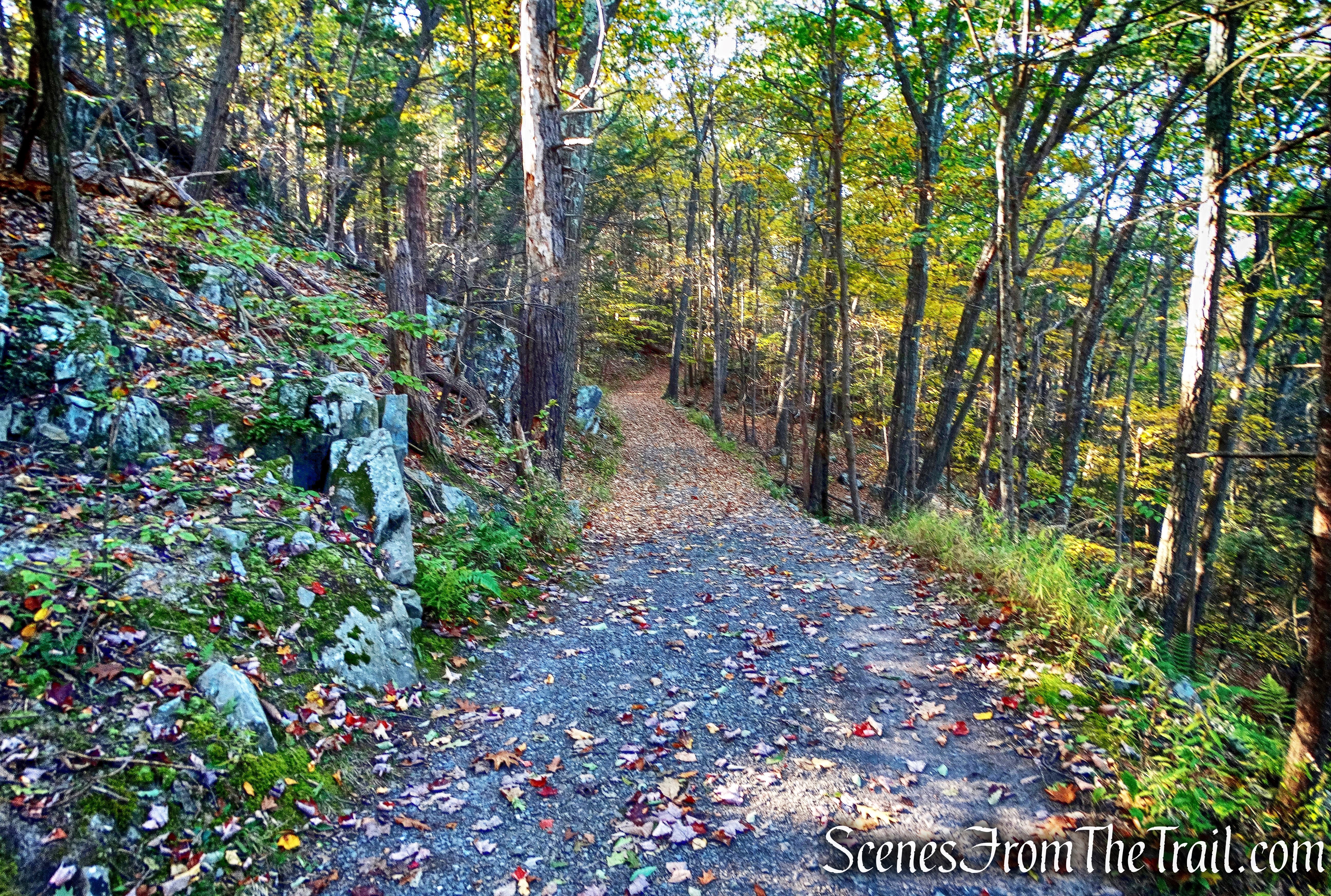 John Burroughs Nature Sanctuary