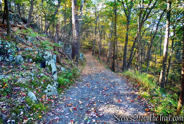 John Burroughs Nature Sanctuary