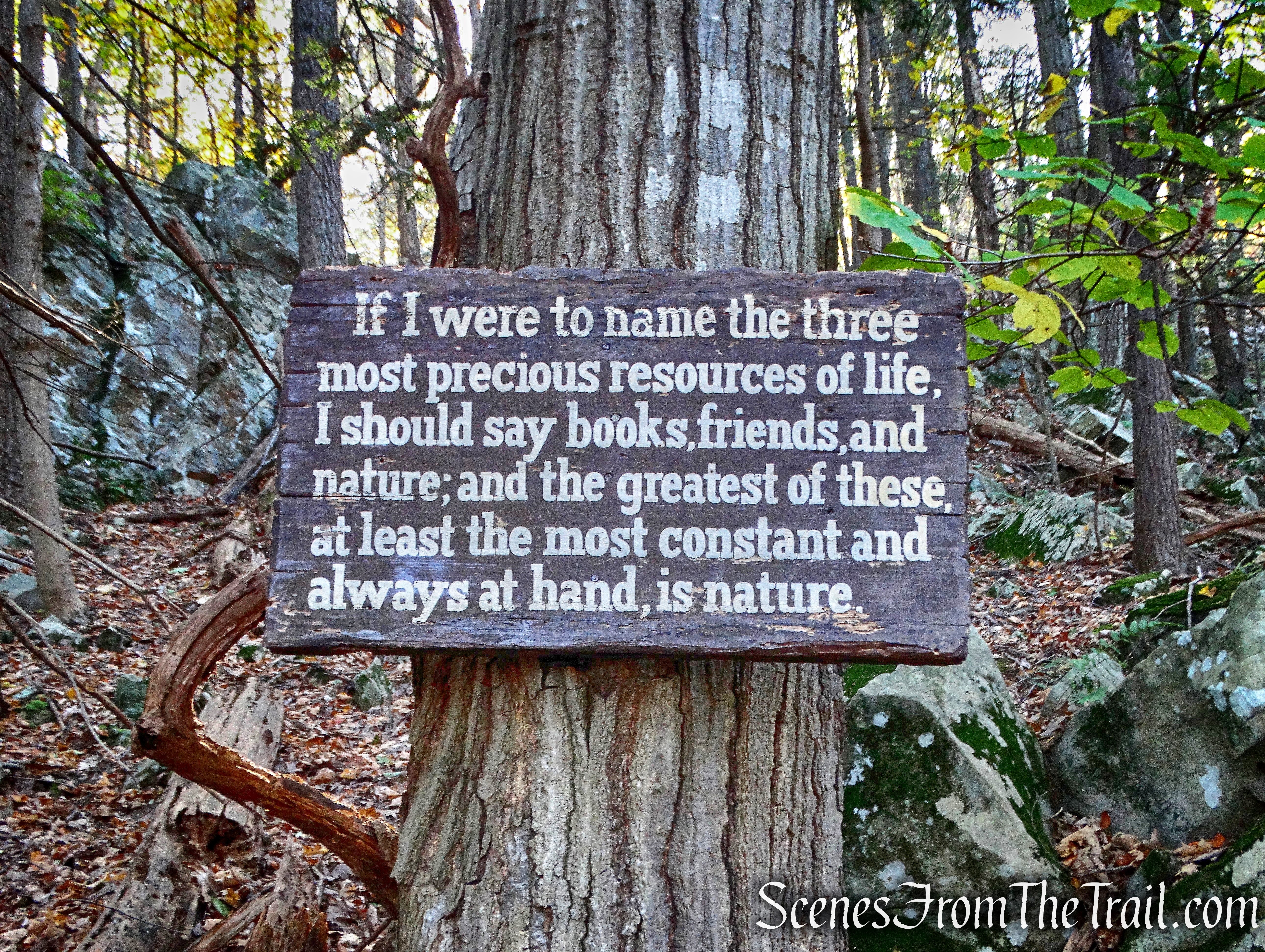 John Burroughs quote