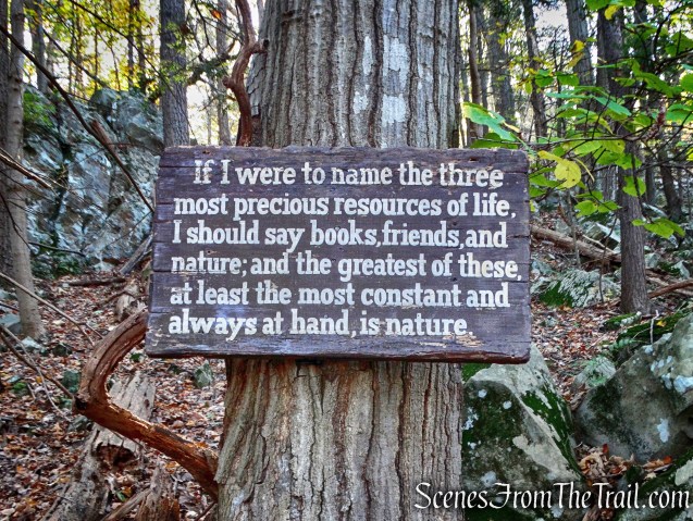 John Burroughs quote