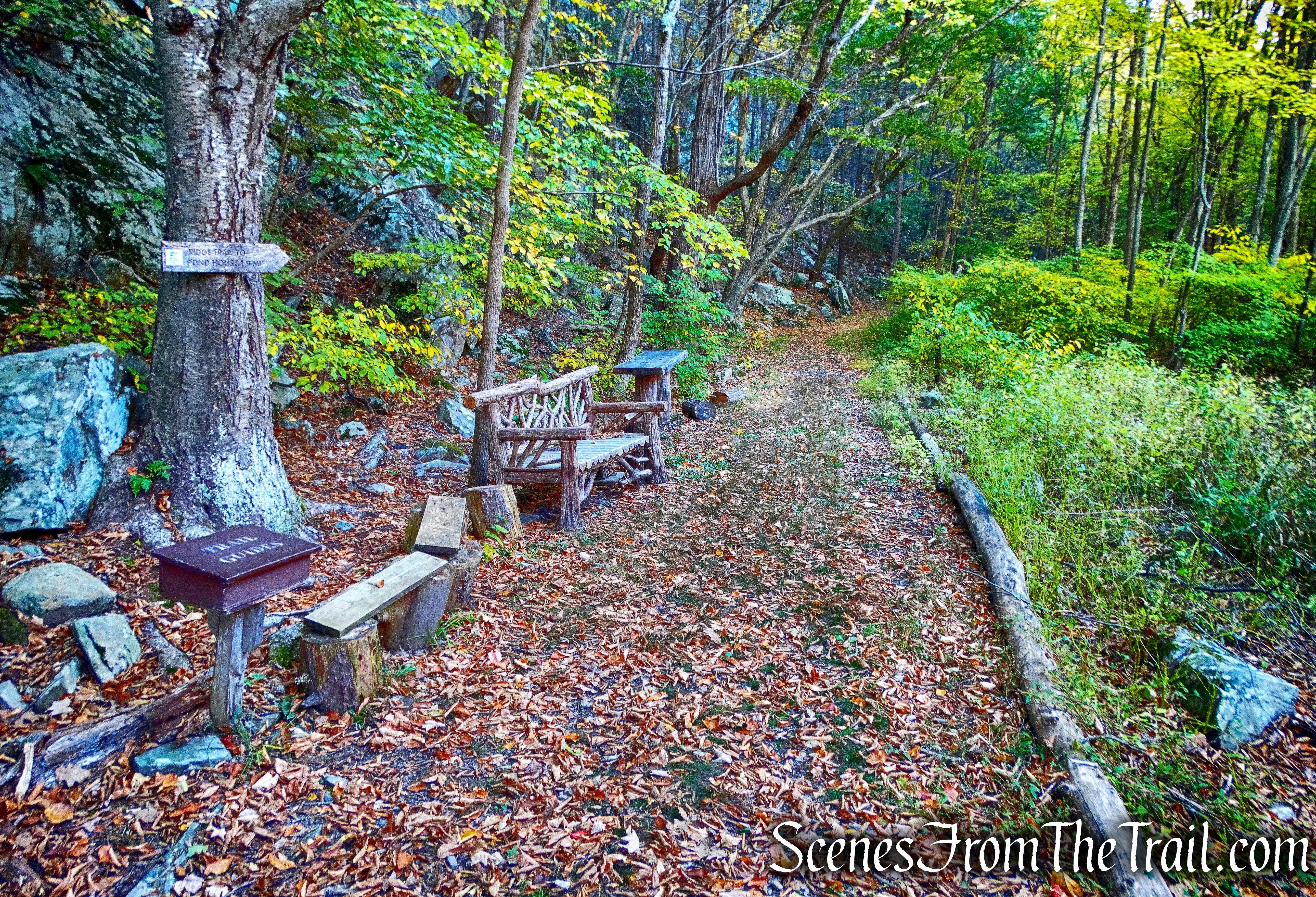 Start of Ridge Trail - John Burroughs Nature Sanctuary