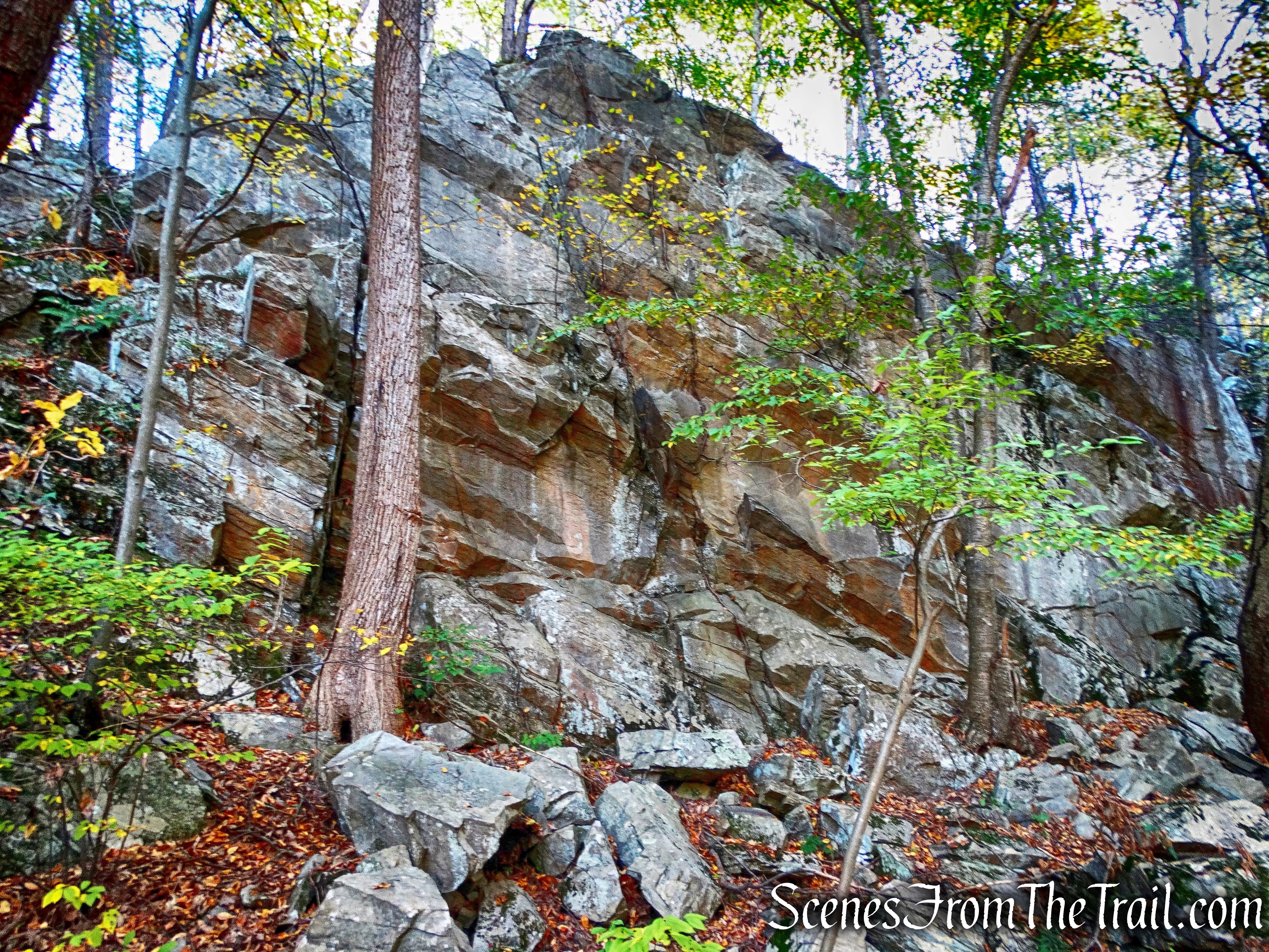 Imposing cliff - John Burroughs Nature Sanctuary