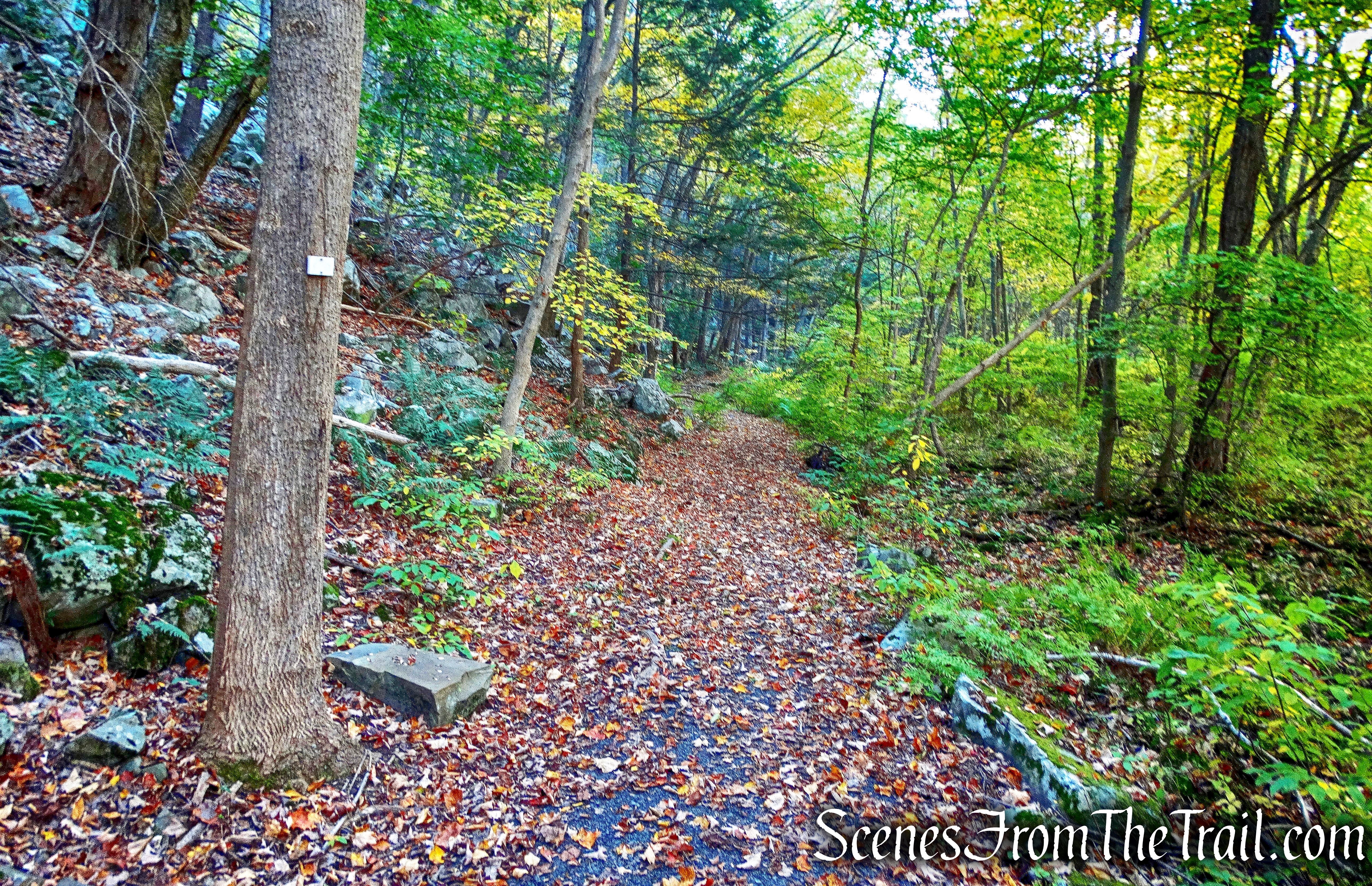 Ridge Trail - John Burroughs Nature Sanctuary