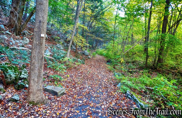 Ridge Trail - John Burroughs Nature Sanctuary