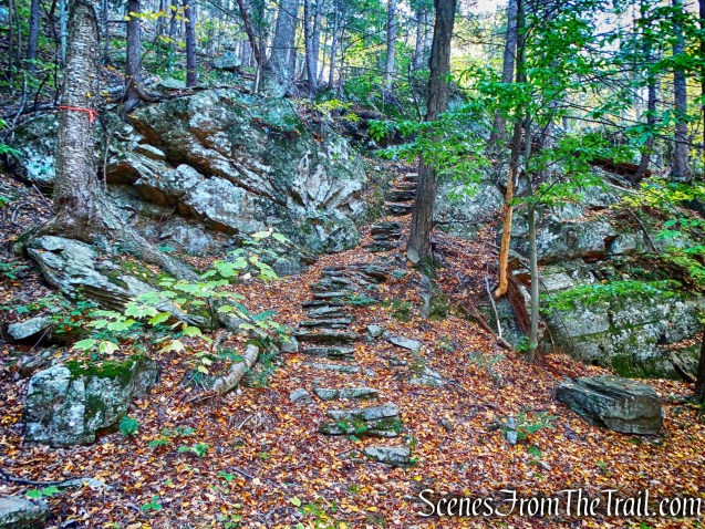 Ridge Trail - John Burroughs Nature Sanctuary
